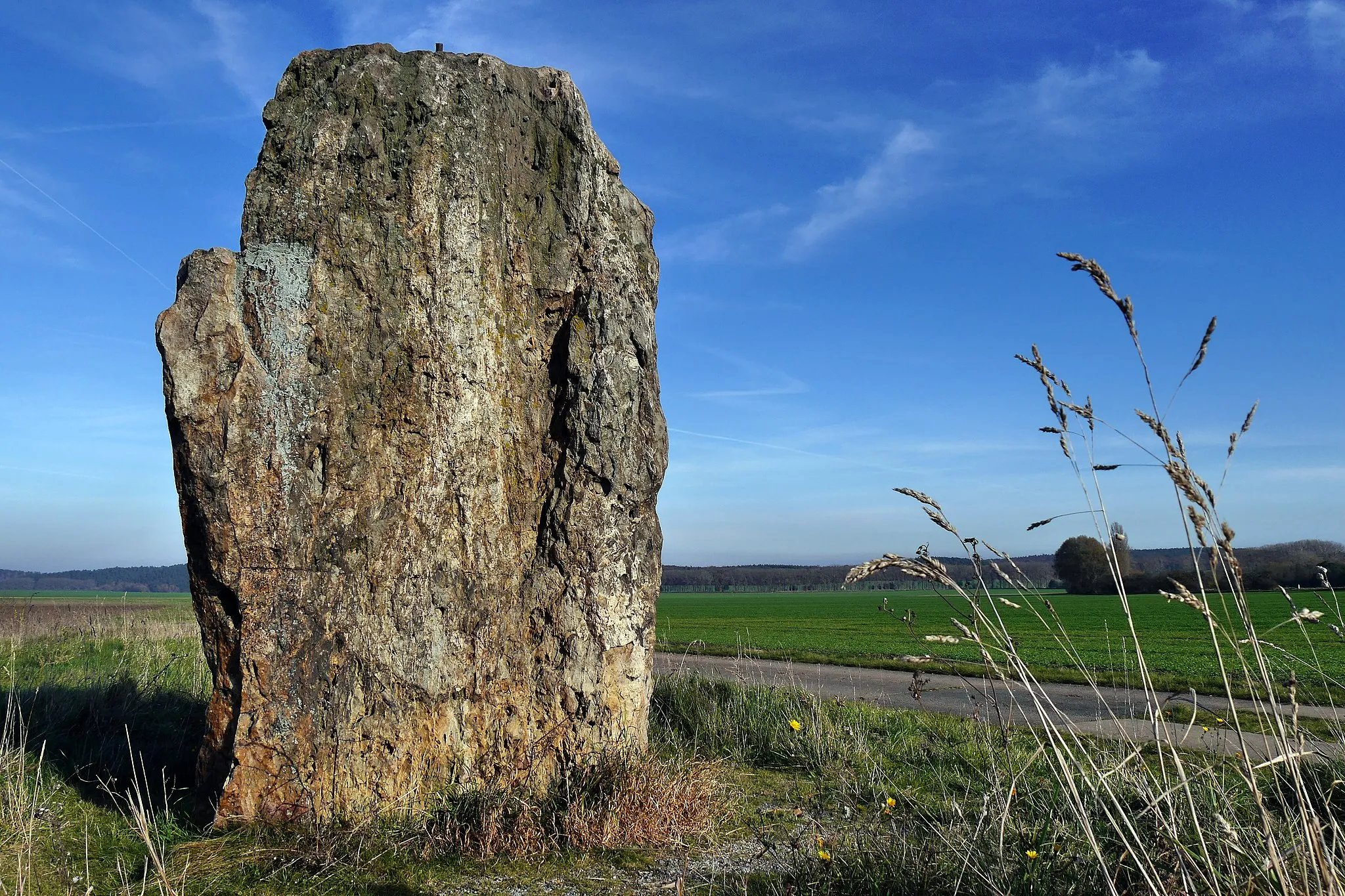 Photo showing: Menhir (Hinkelstein) auf der Feldmark zwischen Derenburg, Heimburg und Benzingerode, ca. 3m hoch