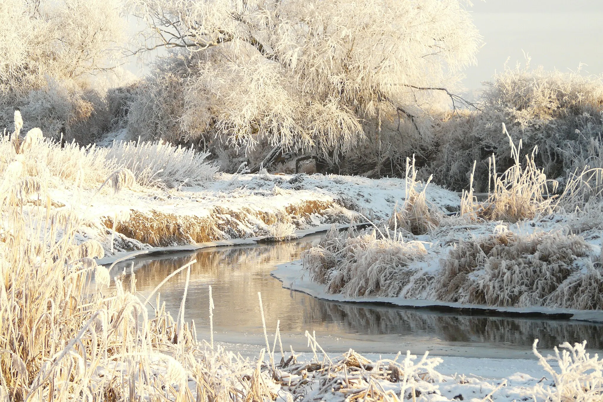 Photo showing: Landschaftsschutzgebiet „Umflutehle-Külzauer Forst“ und Biosphärenreservat Mittelelbe: Die winterliche Ehle bei Gerwisch in ihrem natürlichen Bett. 500 m flußabwärts beginnt die geradlinige, vor reichlich 100 Jahren vorgenommene Kanalisierung des letzten Fluss-km bis zur Mündung in die Elbe. Seit 2014 wird am Beginn der Kanalisierung ein Teil des Ehlewassers etwa einer ursprünglichen Flutrinne folgend, in die Alte Elbe bei Lostau - einem bislang "toten" Elbarm - abgeleitet und dieser nun wieder von Frischwasser durchströmt.