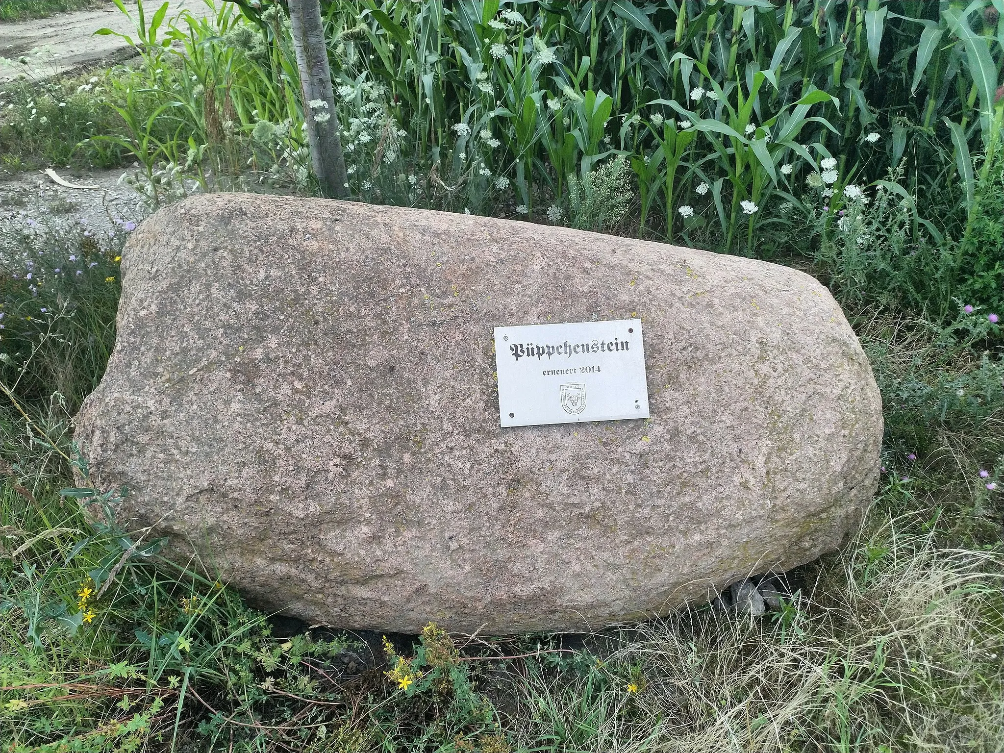 Photo showing: Menhir von Geusa