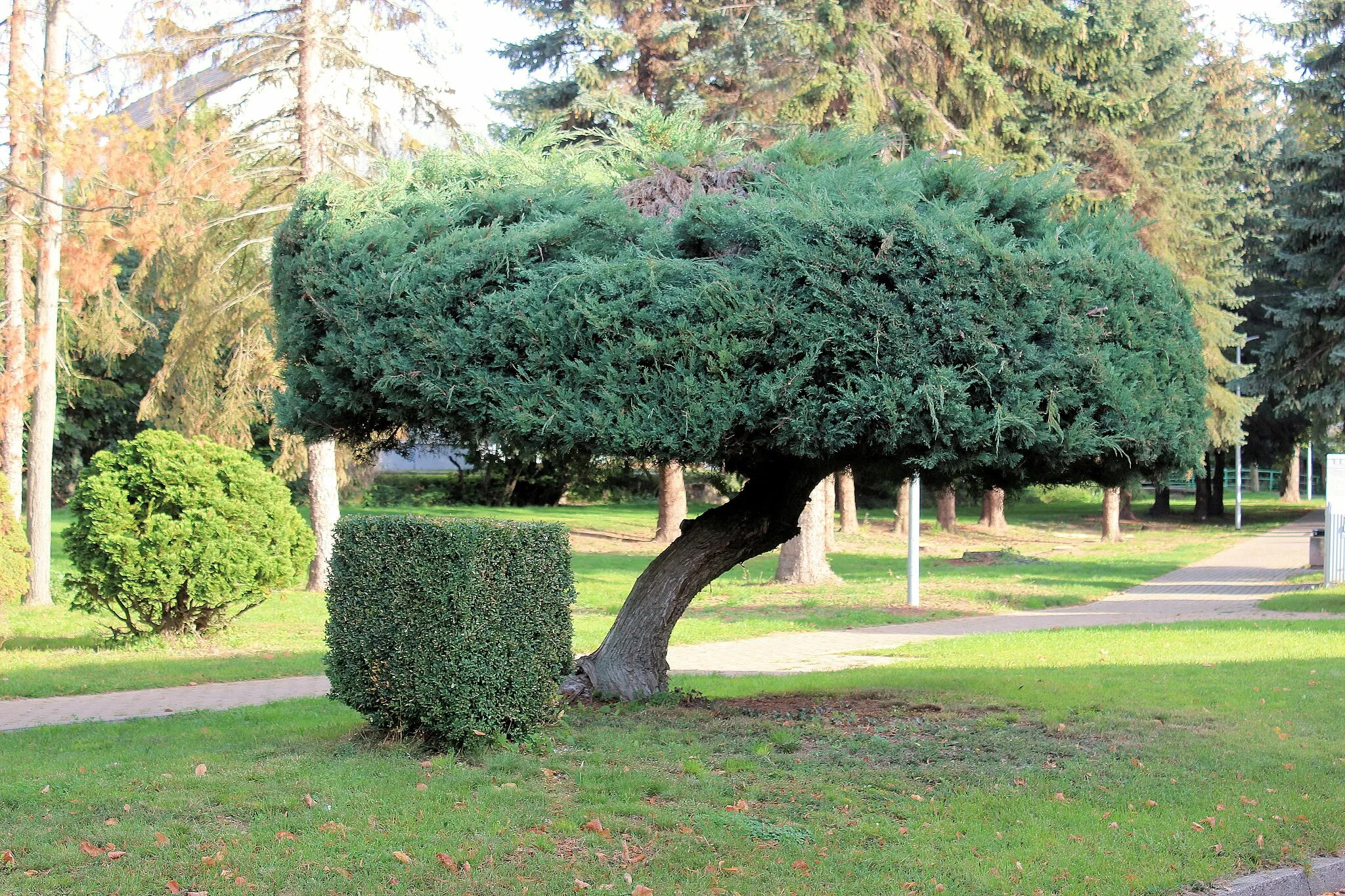 Photo showing: Großörner (Mansfeld), in the park