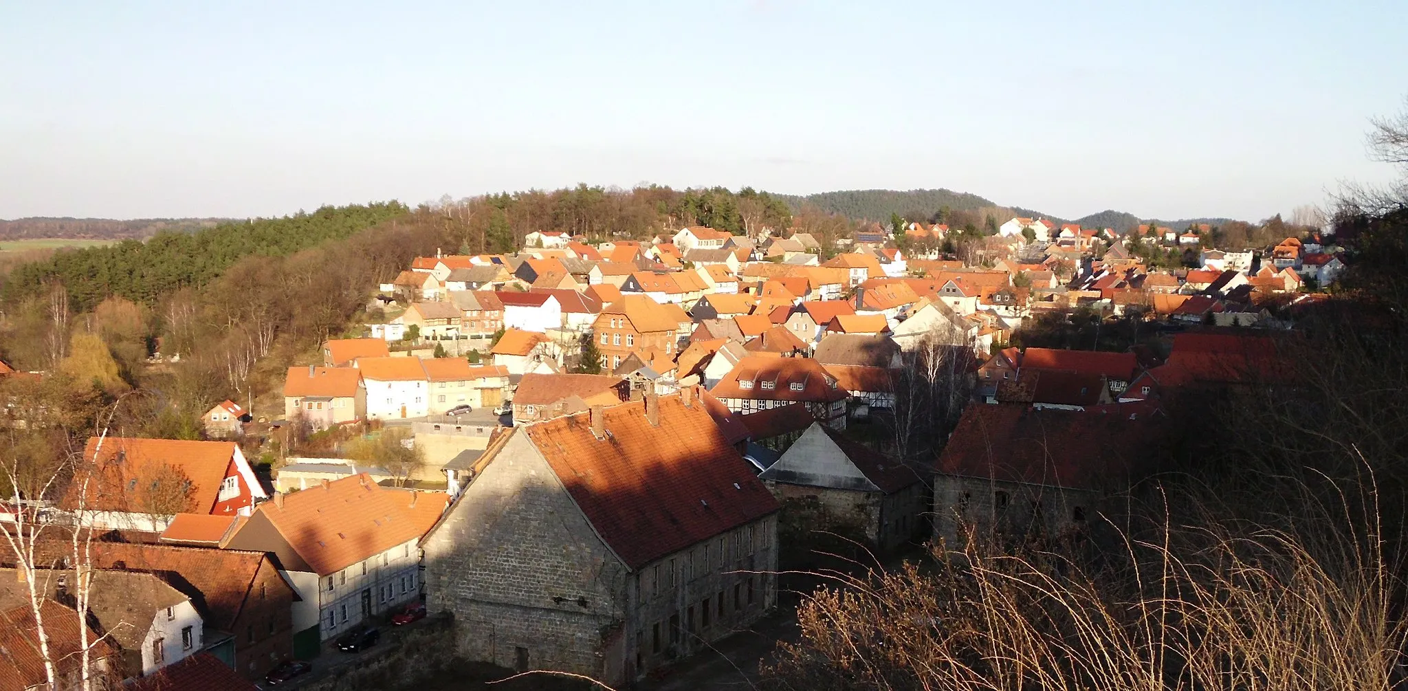 Photo showing: Blick auf Langenstein von der Altenburg, Stadt Halberstadt