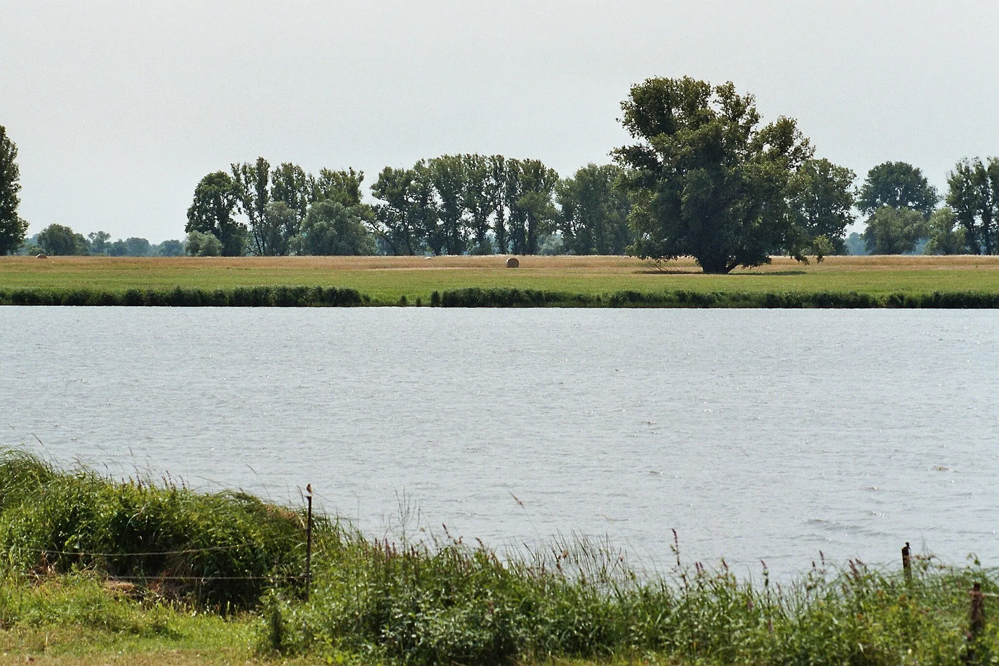 Photo showing: Lostau (Möser), a arm of the Elbe river