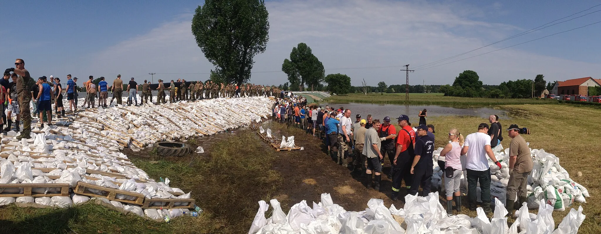 Photo showing: Helfer stabilisieren einen Deich in Lostau bei Magdeburg