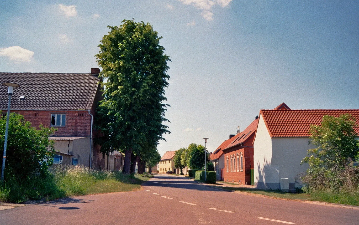 Photo showing: Schermen, Möser, Landkreis Jerichower Land, Sachsen-Anhalt, Germany.
