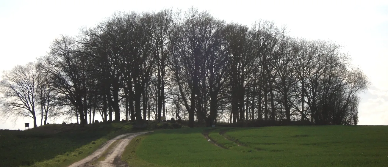 Photo showing: Die Langbetten auf dem Ruserberg