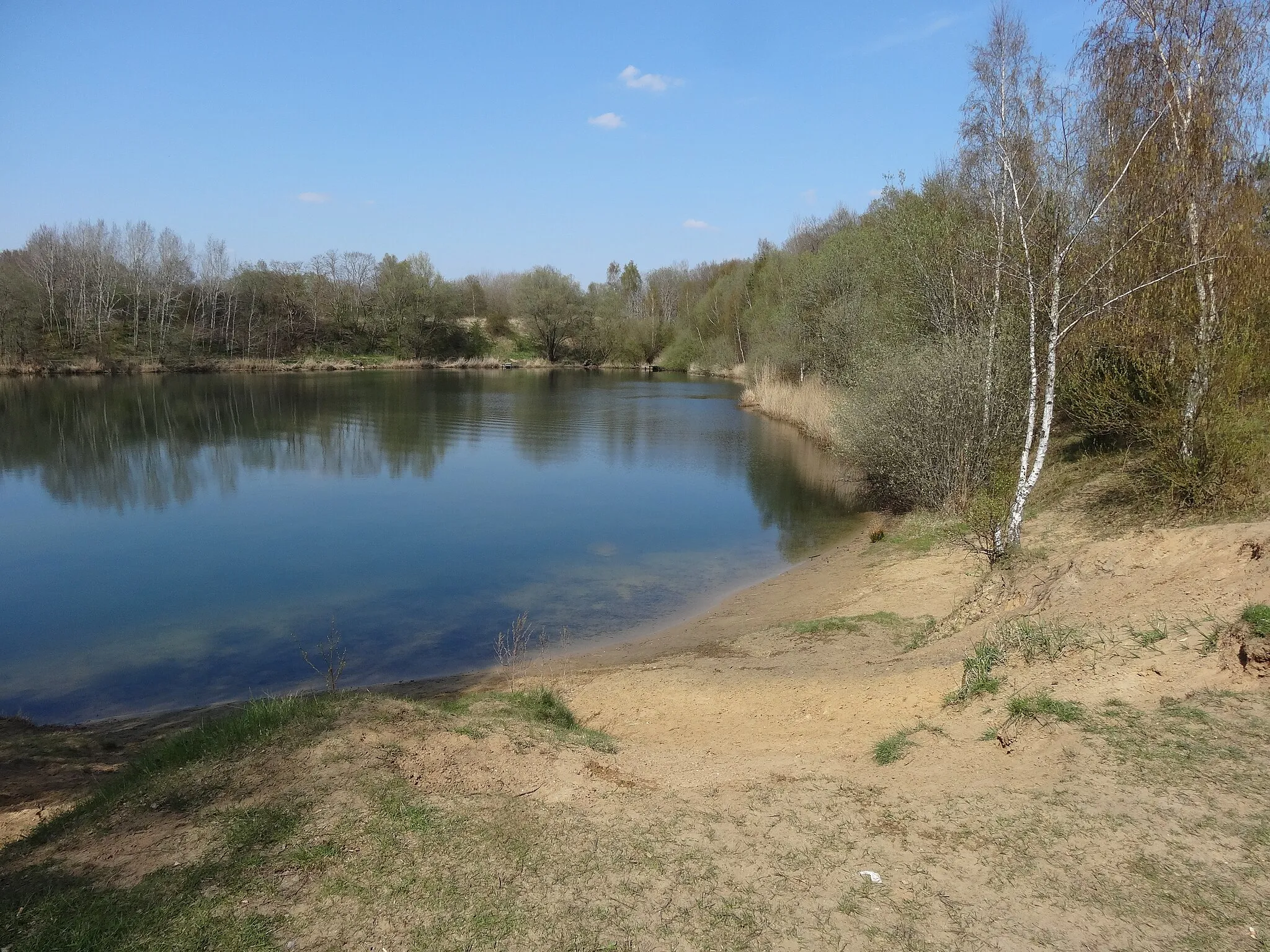 Photo showing: Kremperheider Binnendünen
Ein Teil davon könnte zum Naturschutzgebiet "Binnendünen Nordoe" ernannt werden.

Weitere Informationen auf der abgebildeten Infotafel in der Kategorie.