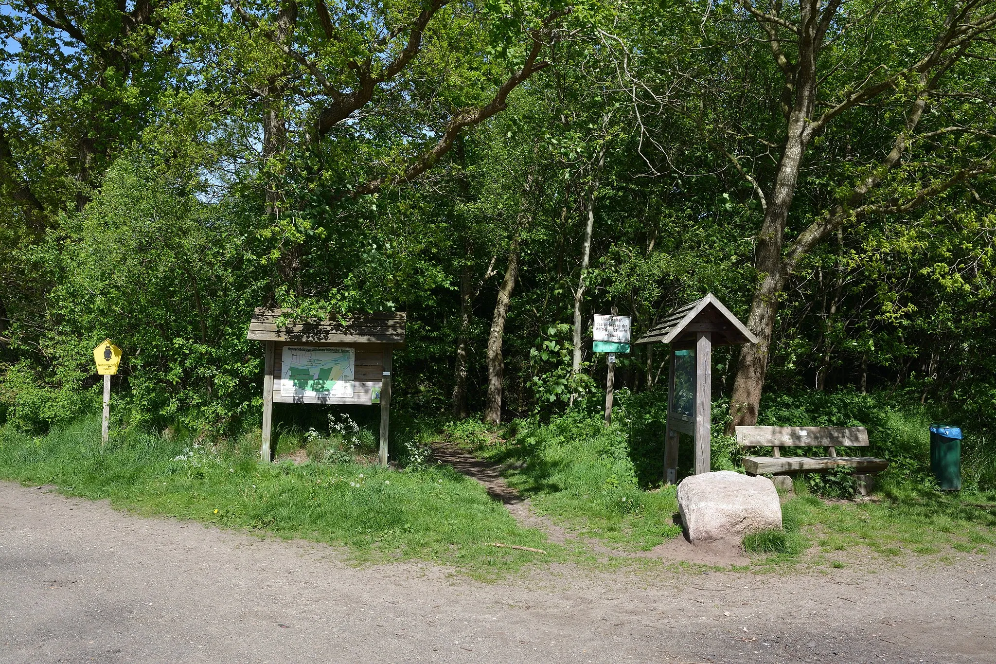 Photo showing: Impressionen vom Naturerlebnisraum "Mühlenau/Mildstedter Tannen" in Mildstedt.