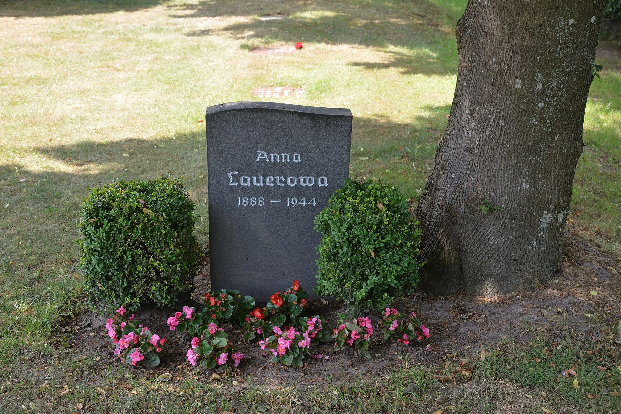 Photo showing: Auf dem Friedhof in Mildstedt