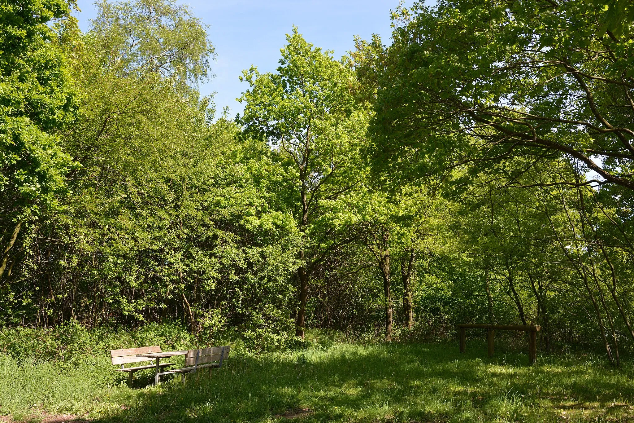 Photo showing: Impressionen vom Naturerlebnisraum "Mühlenau/Mildstedter Tannen" in Mildstedt.