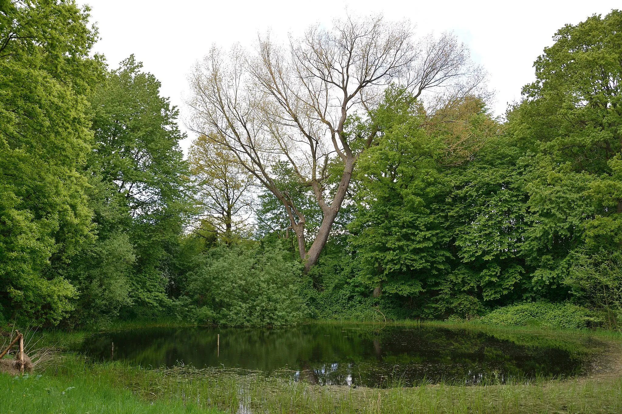 Billede af Schleswig-Holstein