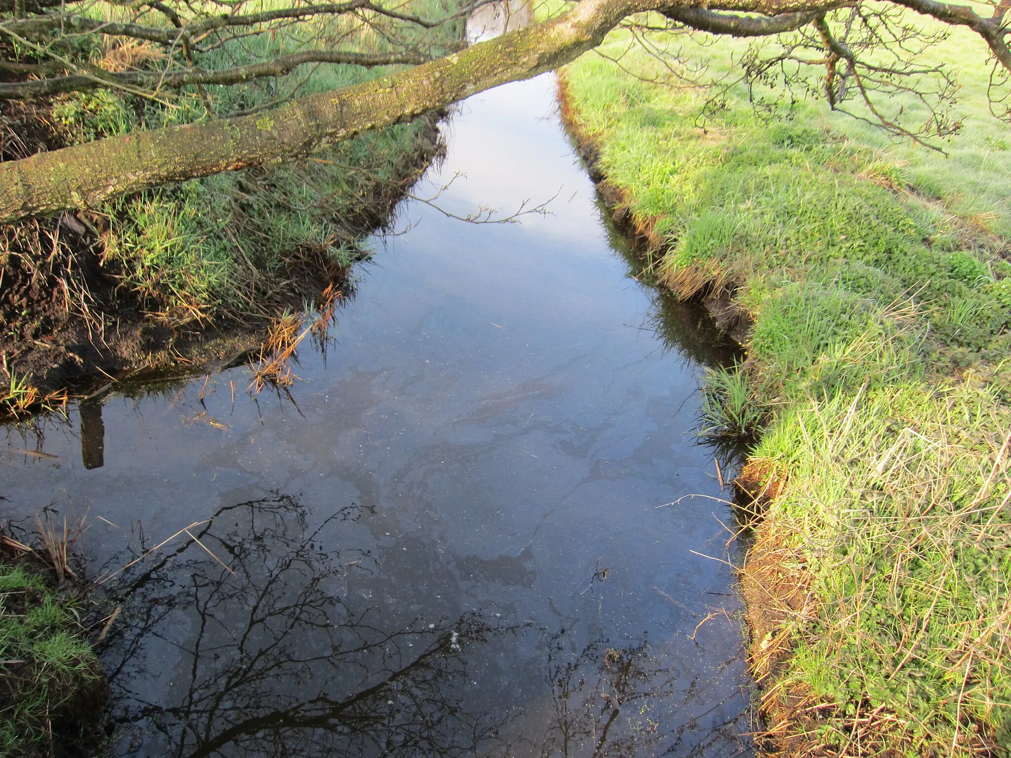 Photo showing: Stream in Kiel-Schilksee