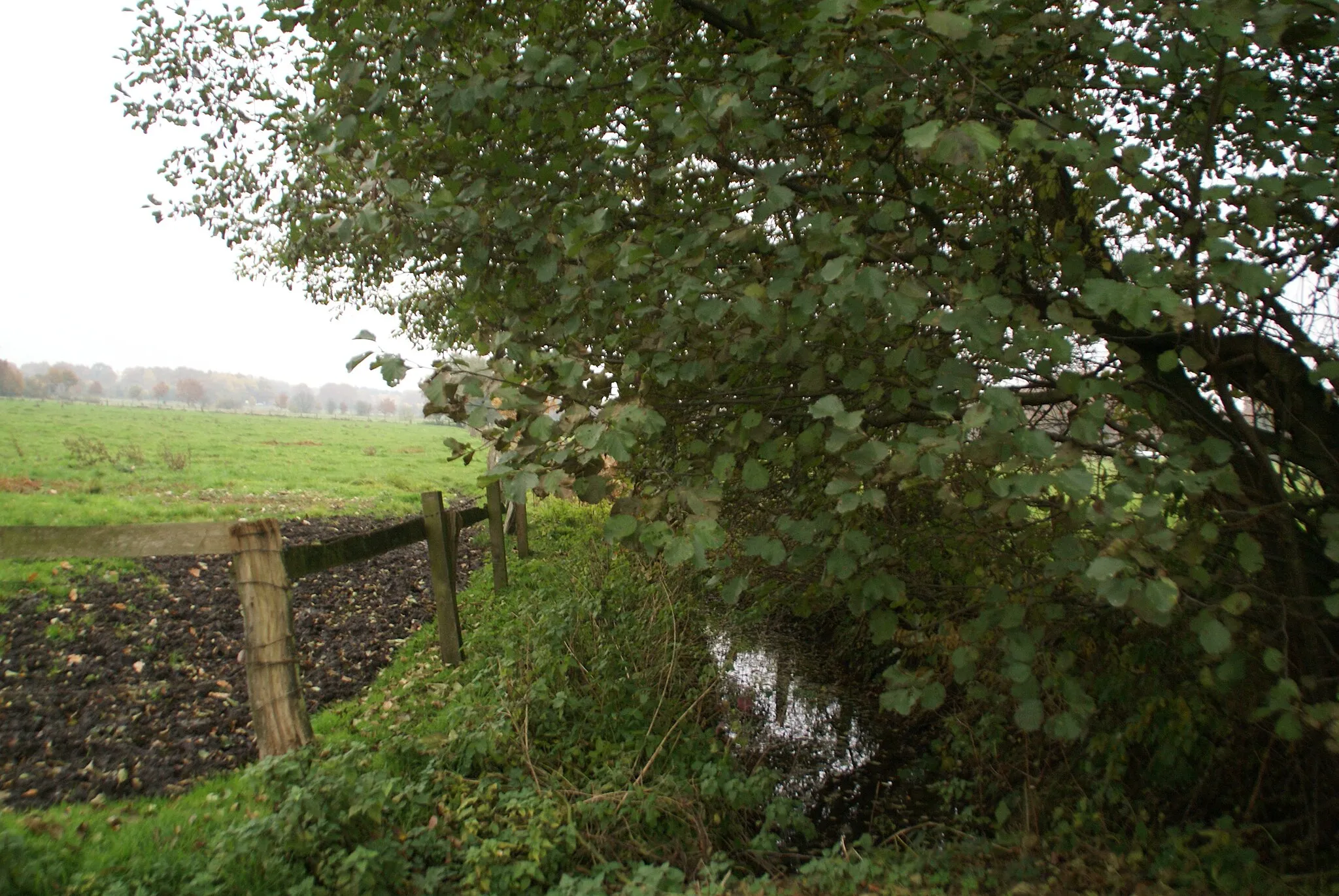 Photo showing: Tangstedt, Germany: The River Tangstedter Graben close to the Wiesenweg