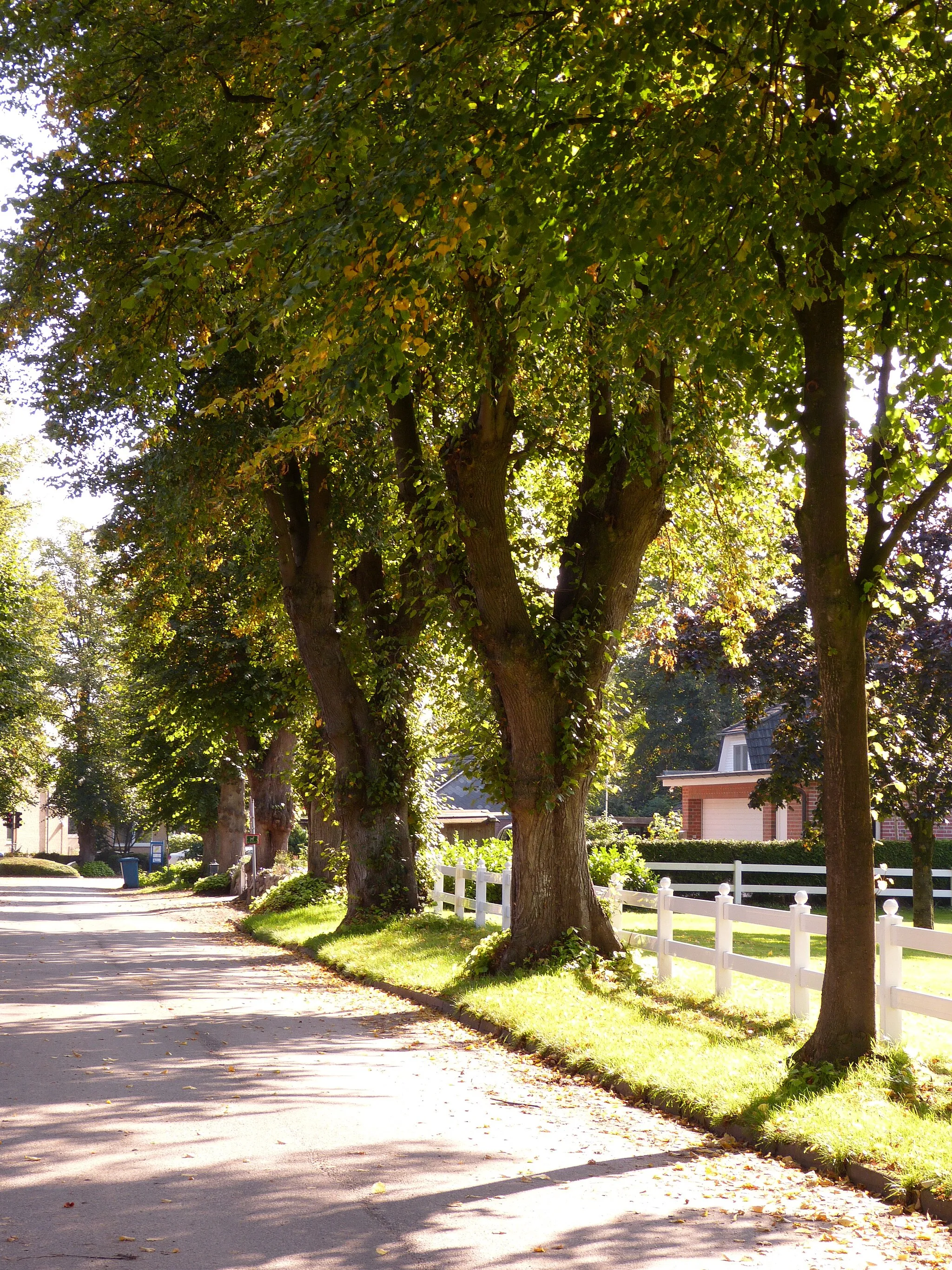 Photo showing: Das Bild zeigt ein Kulturdenkmal in Tangstedt, die Straße Beekmoorweg.