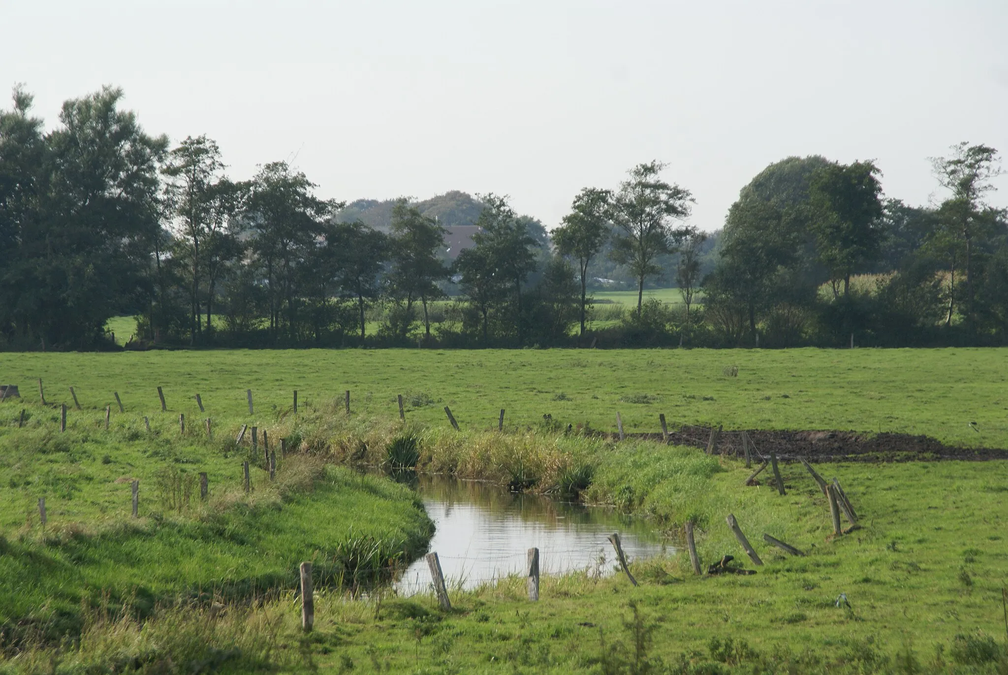 Image of Schleswig-Holstein