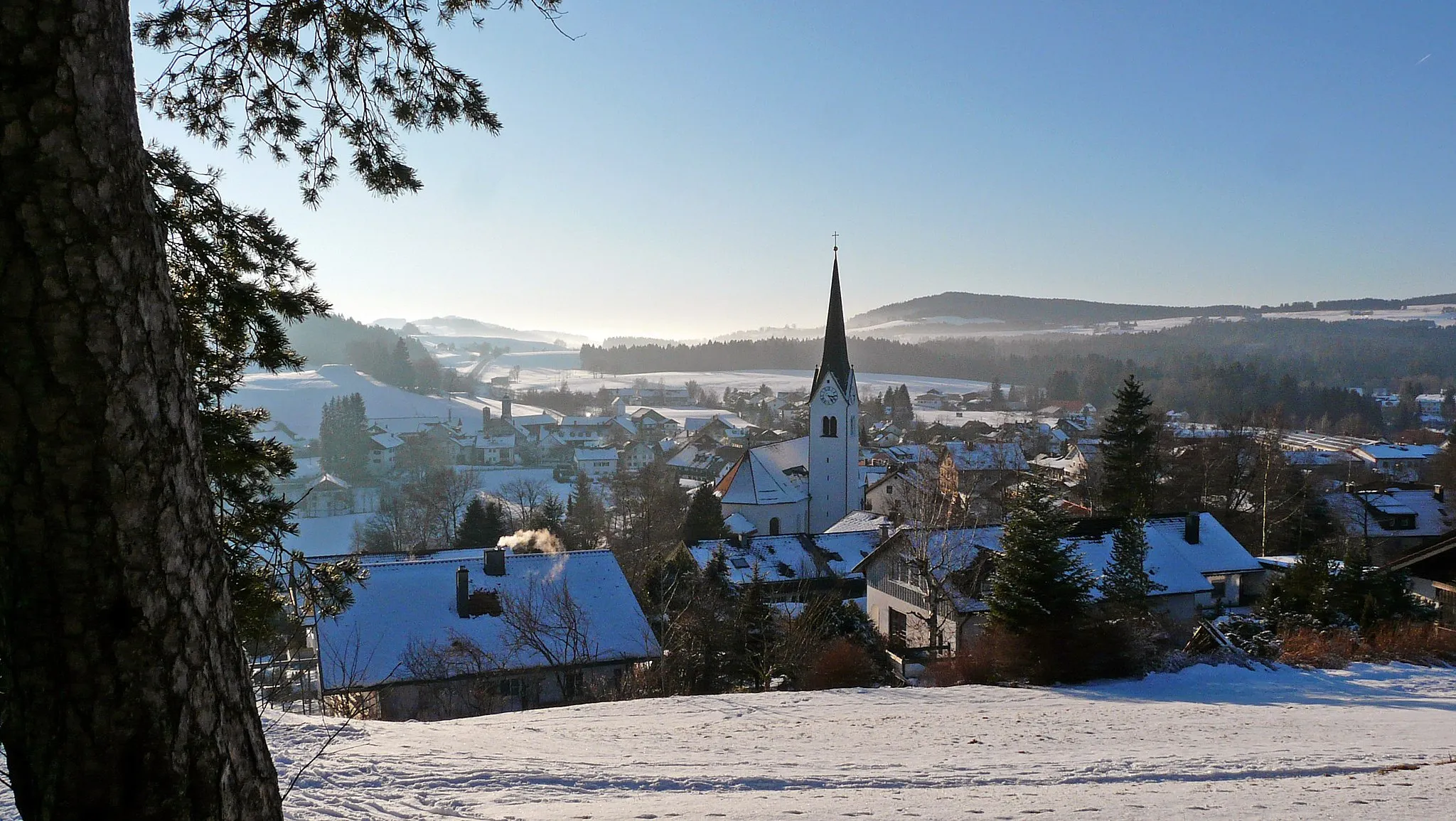 Photo showing: Buchenberg im Winter