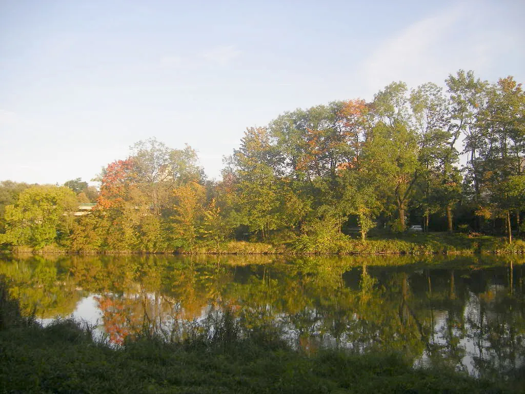 Photo showing: The Danube between Elchingen and Leipheim