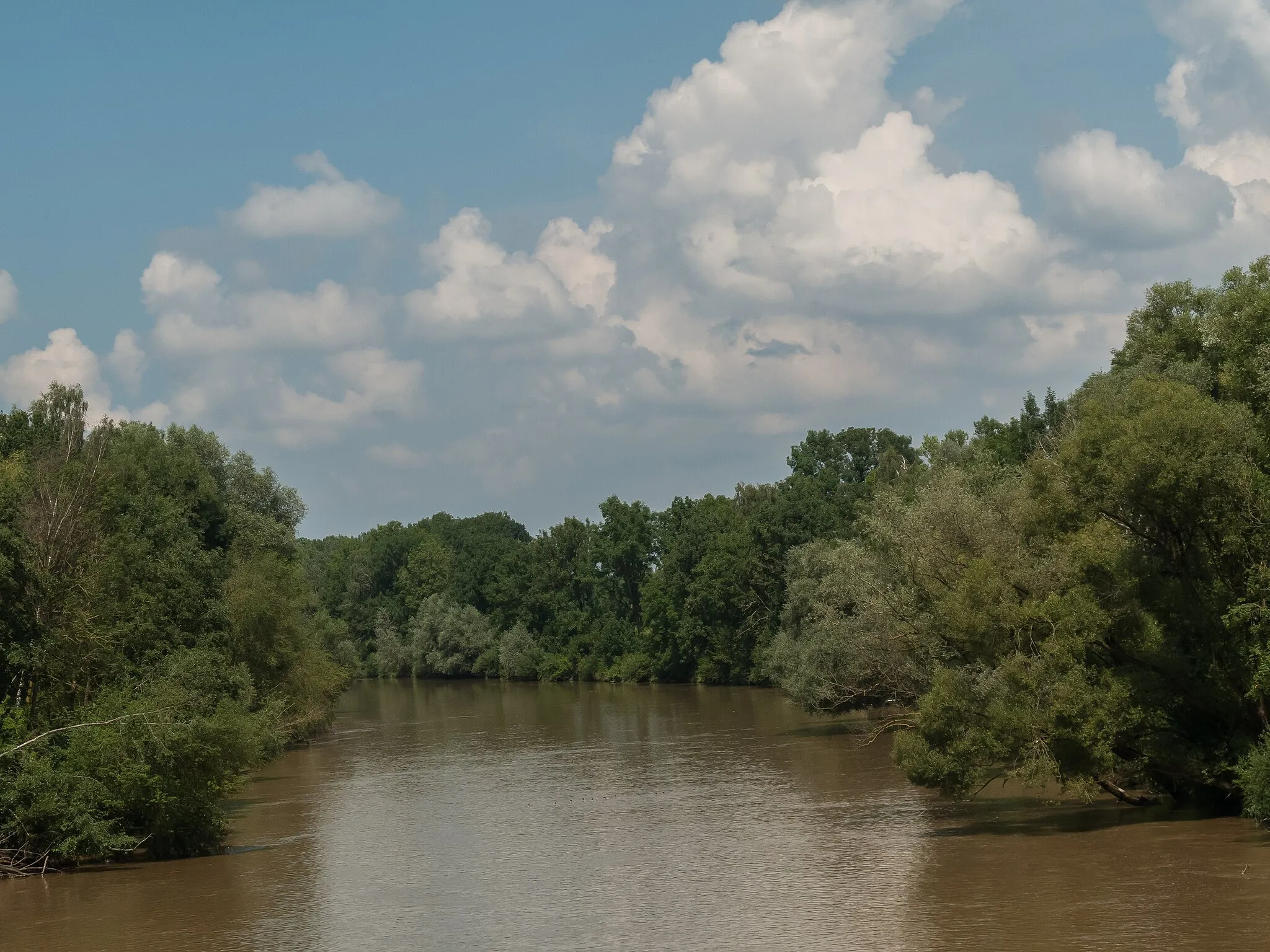 Photo showing: near Steinheim, river: die Iller