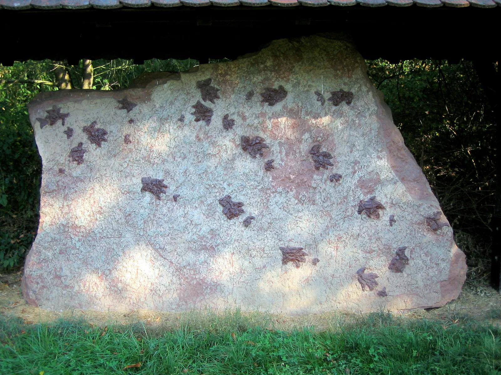 Photo showing: Sandsteinblock mit Chirotherium-Fußspuren bei Külsheim, ca. 240 Mio. Jahre alt