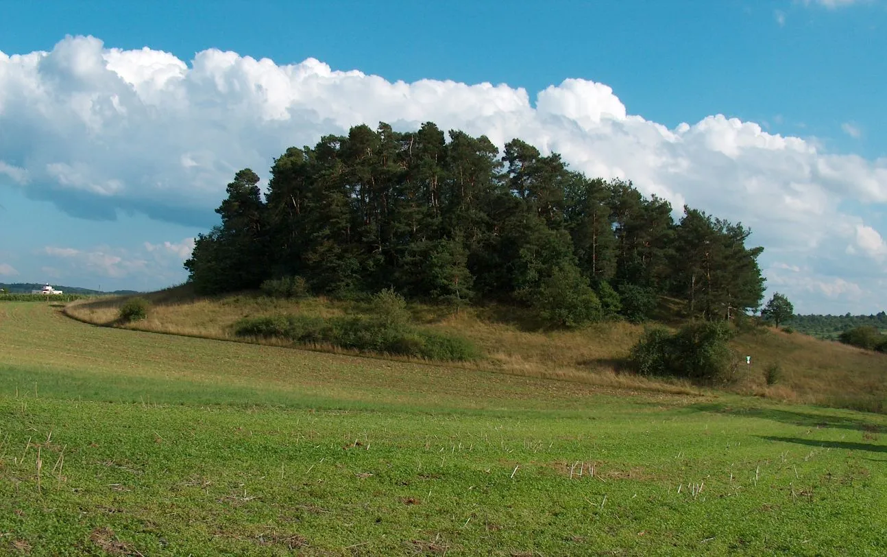 Photo showing: Naturdenkmal Ratberg in Magstadt (Aufgenommen aus Richtung Warmbronn)