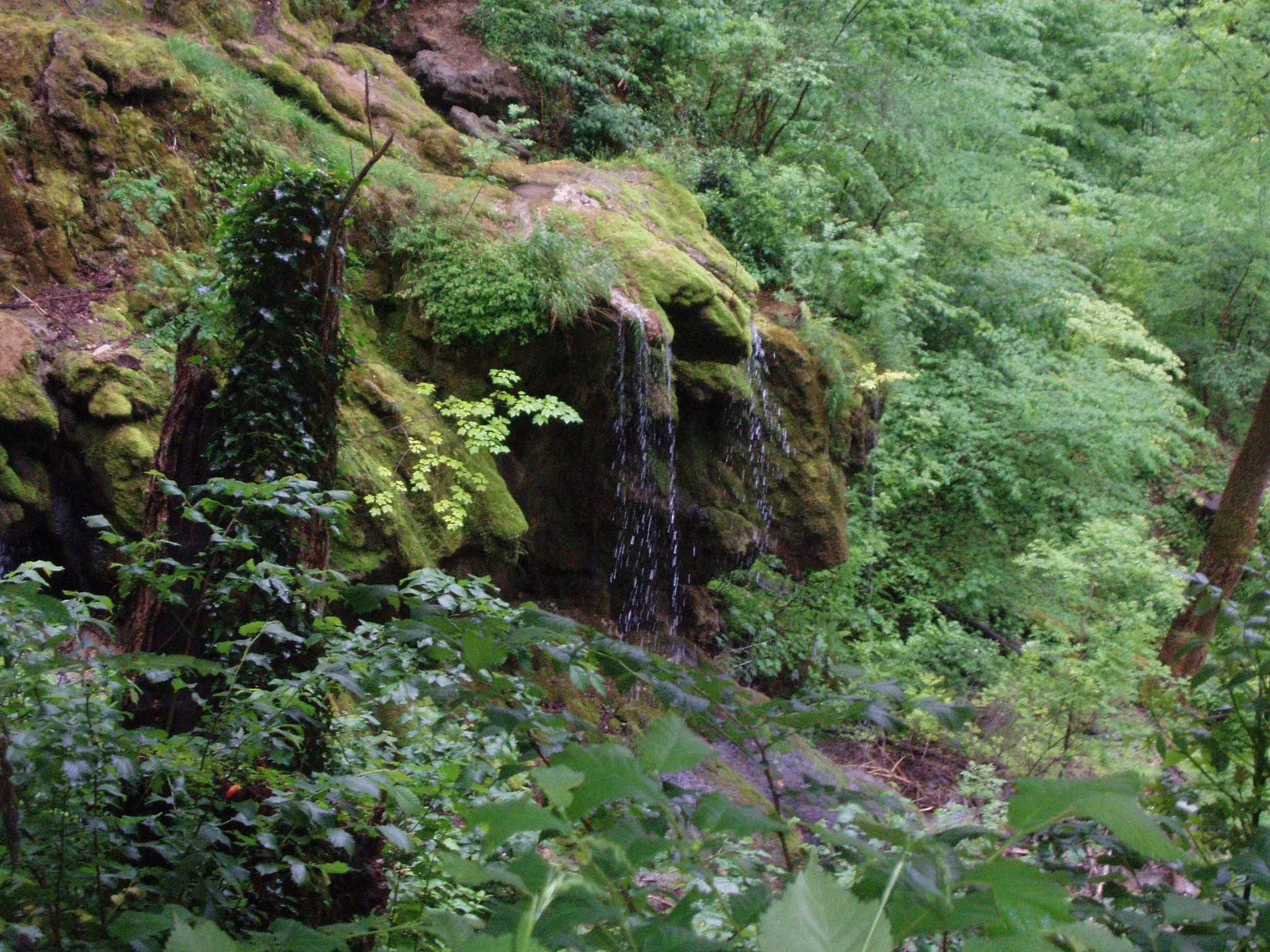 Photo showing: Neidlinger Wasserfall, Schwäbische Alb, Baden-Württemberg, Deutschland