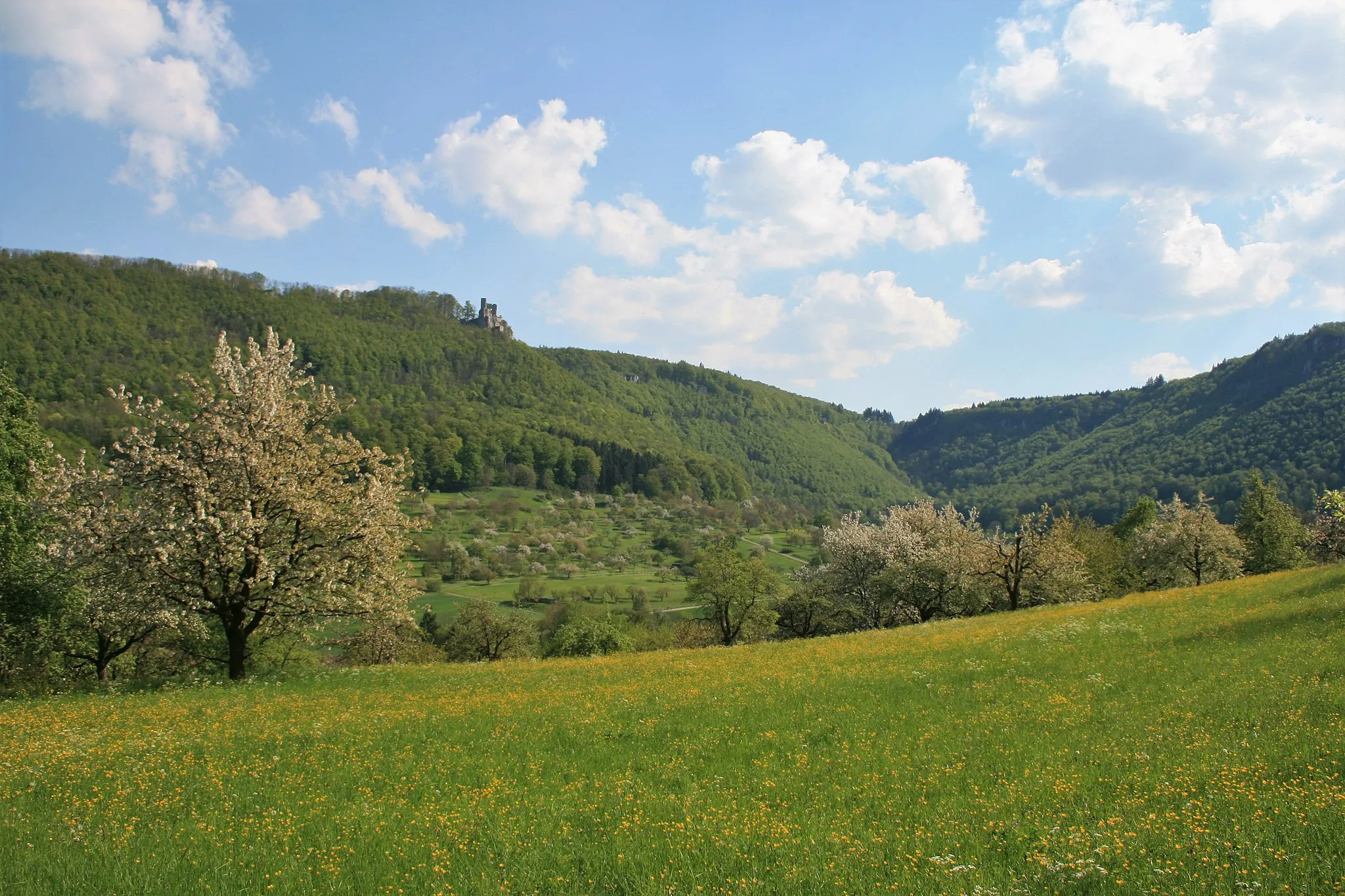 Photo showing: View from Neidlingen Valley (also upper Lindachtal) to the ruins of Reußenstein over orchards
