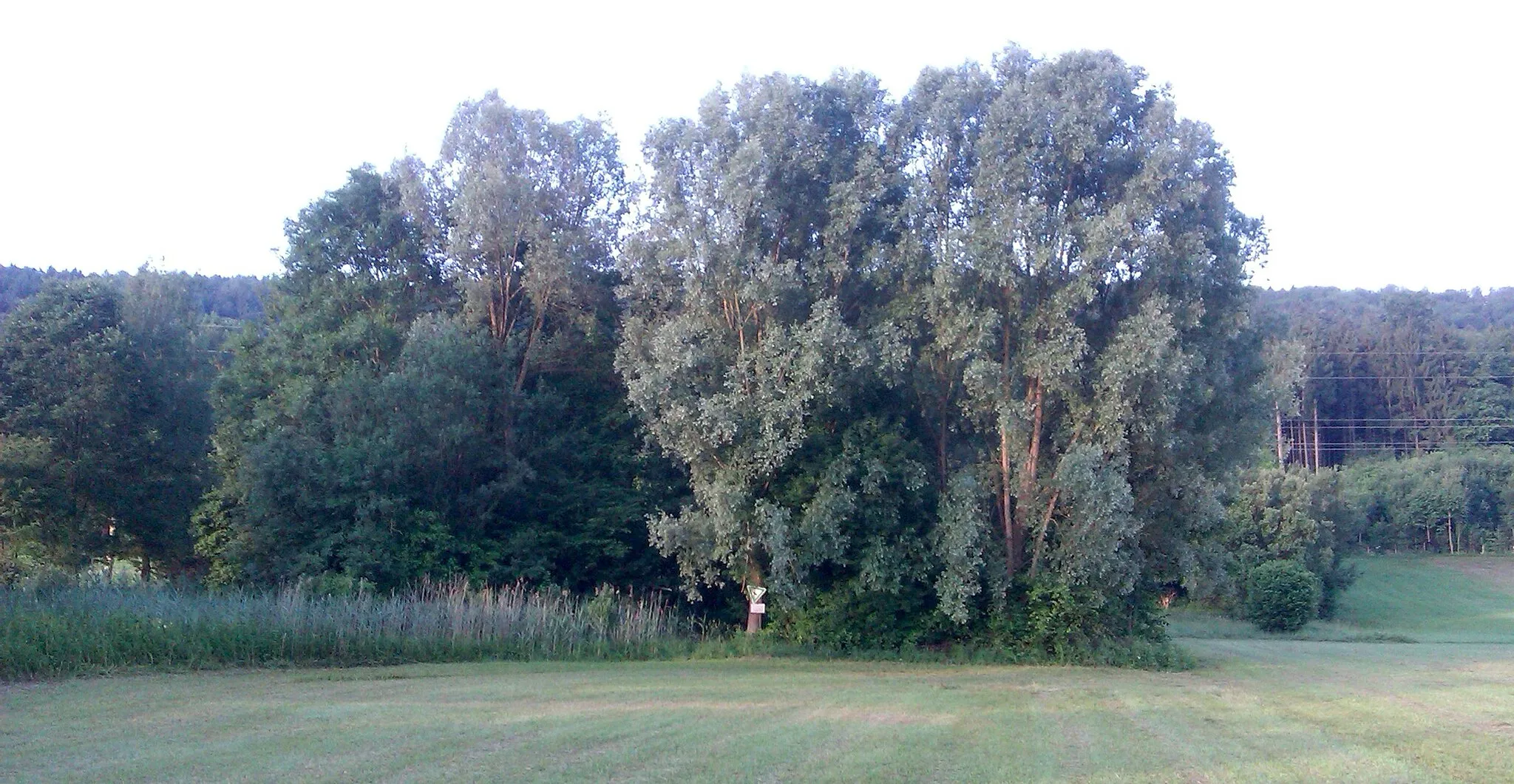 Photo showing: Natural monument “Teiche in den Bäderwiesen”, Plüderhausen