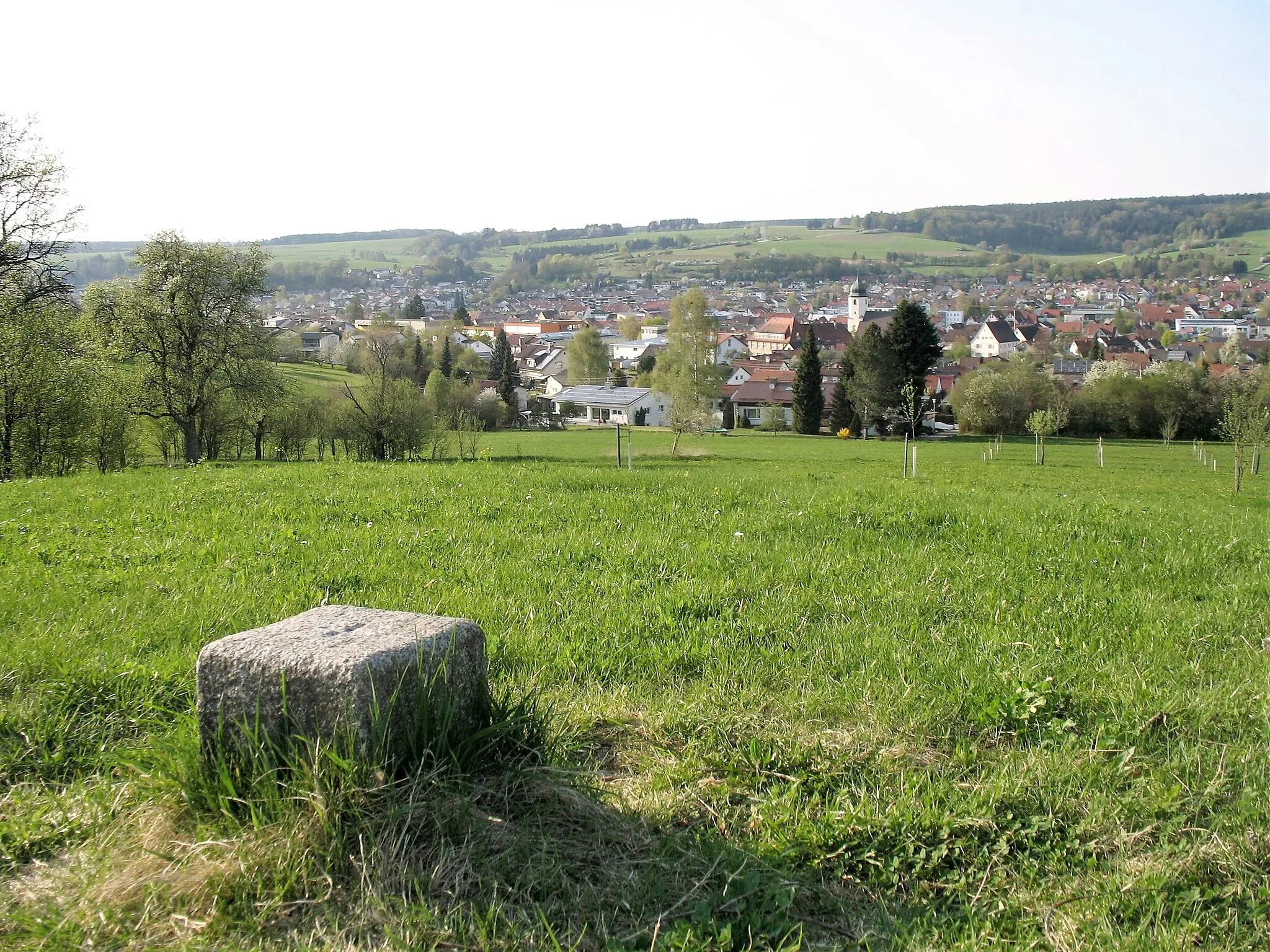 Photo showing: Wäldlesfels, natural monument in Steinheim am Albuch, Baden-Württemberg, Germany.