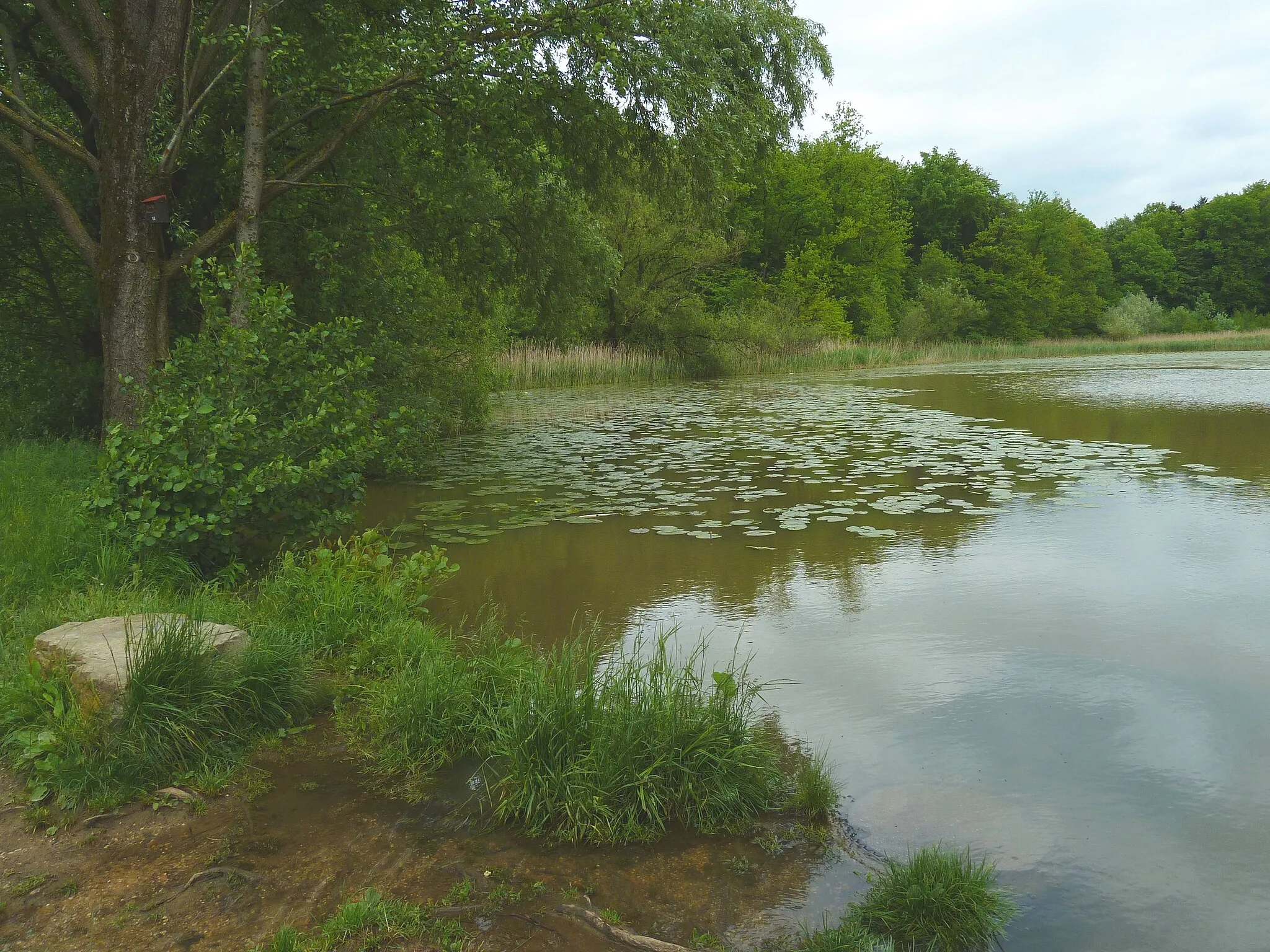 Photo showing: Charlottensee Uhingen