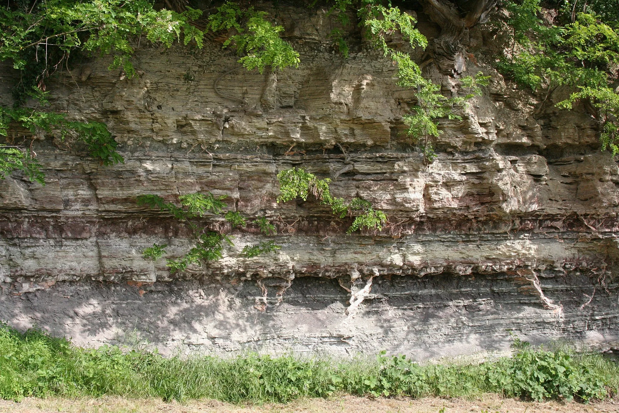 Photo showing: Geological strata at the Burgberg in Weinsberg