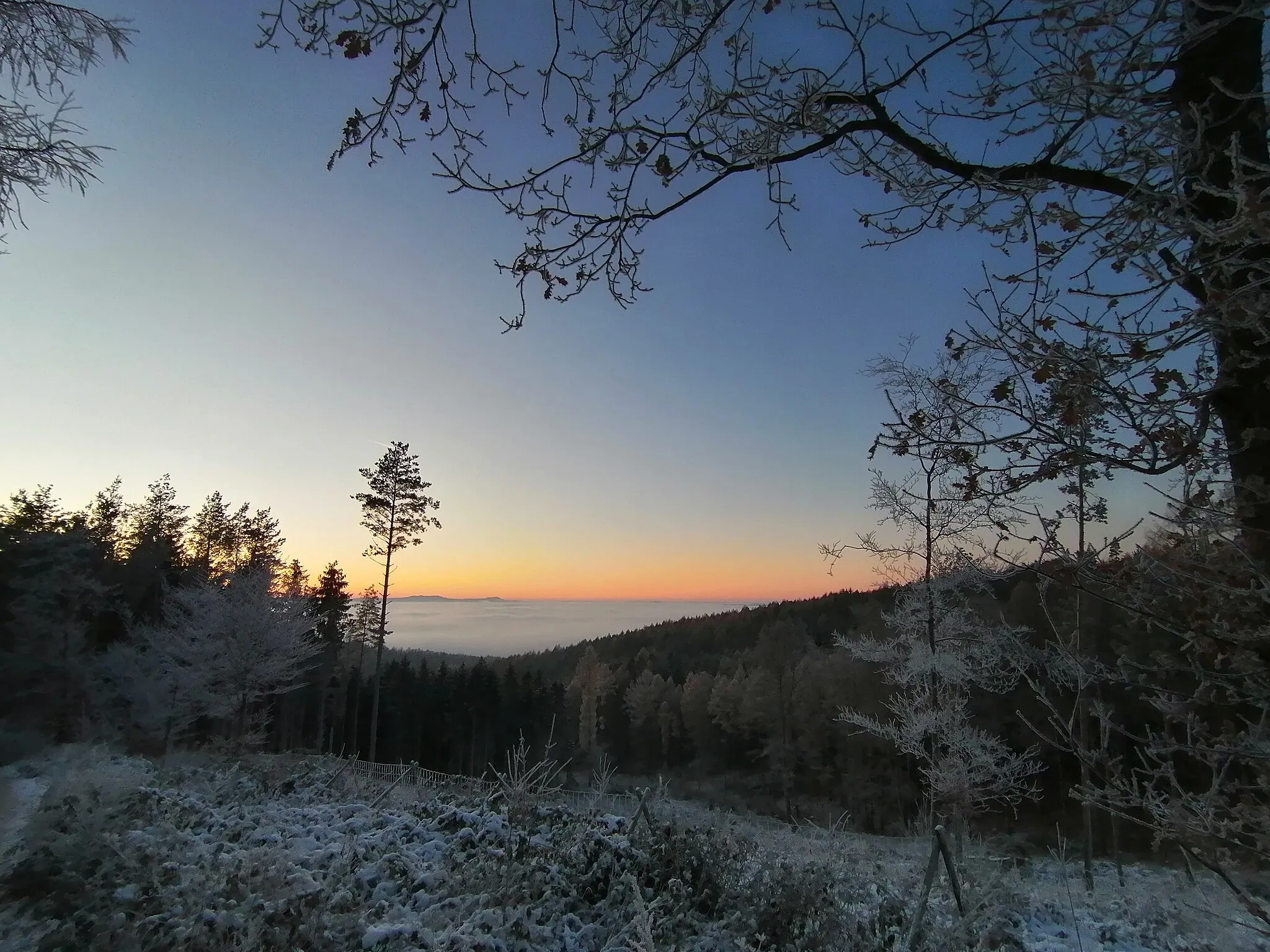 Photo showing: Fotografiert am 17.12.2022 auf der Kuhhalte (Bad Liebenstein).