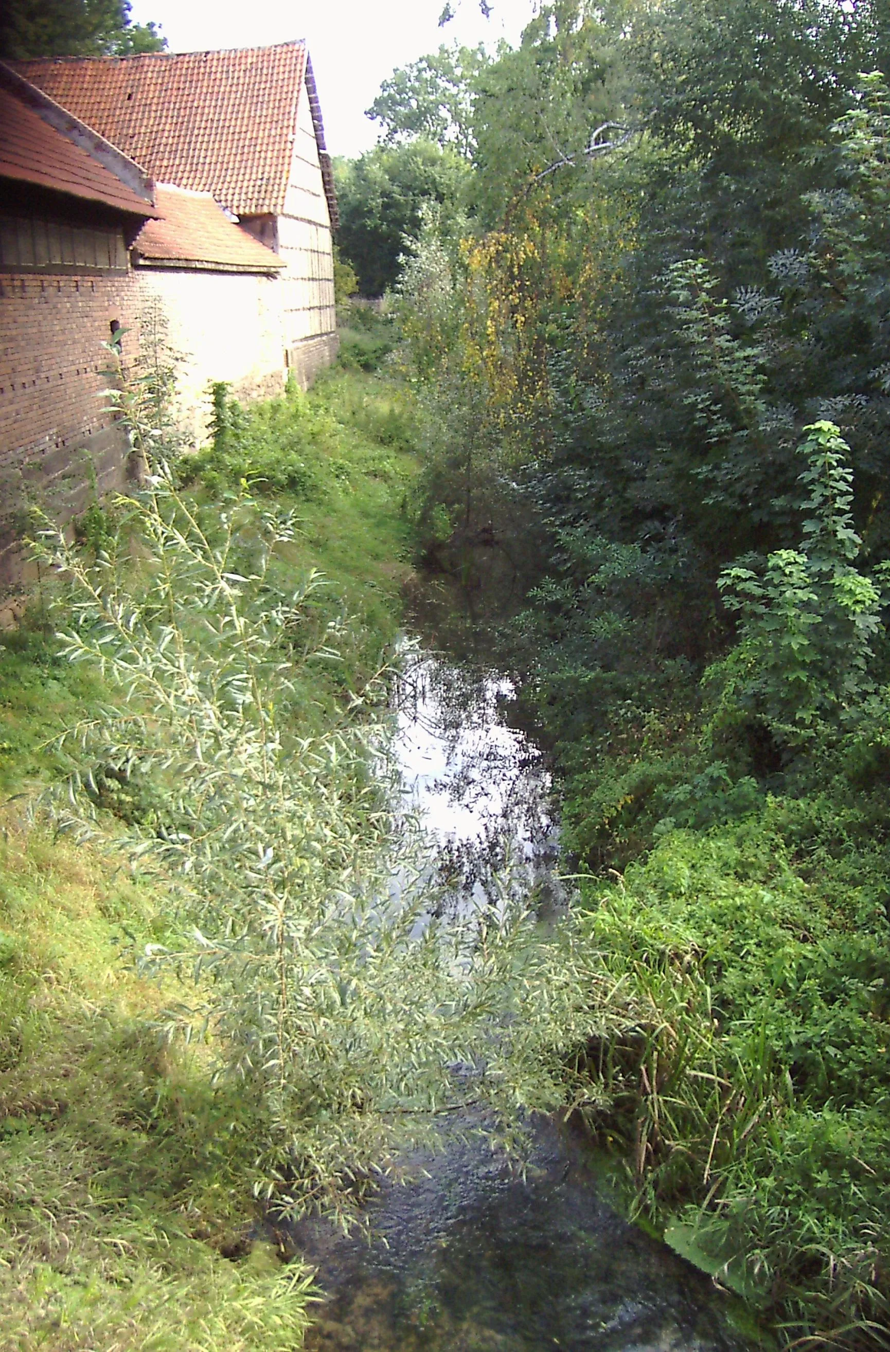 Photo showing: Die Notter in Körner in Fließrichtung von der Straßenbrücke aus fotografiert.