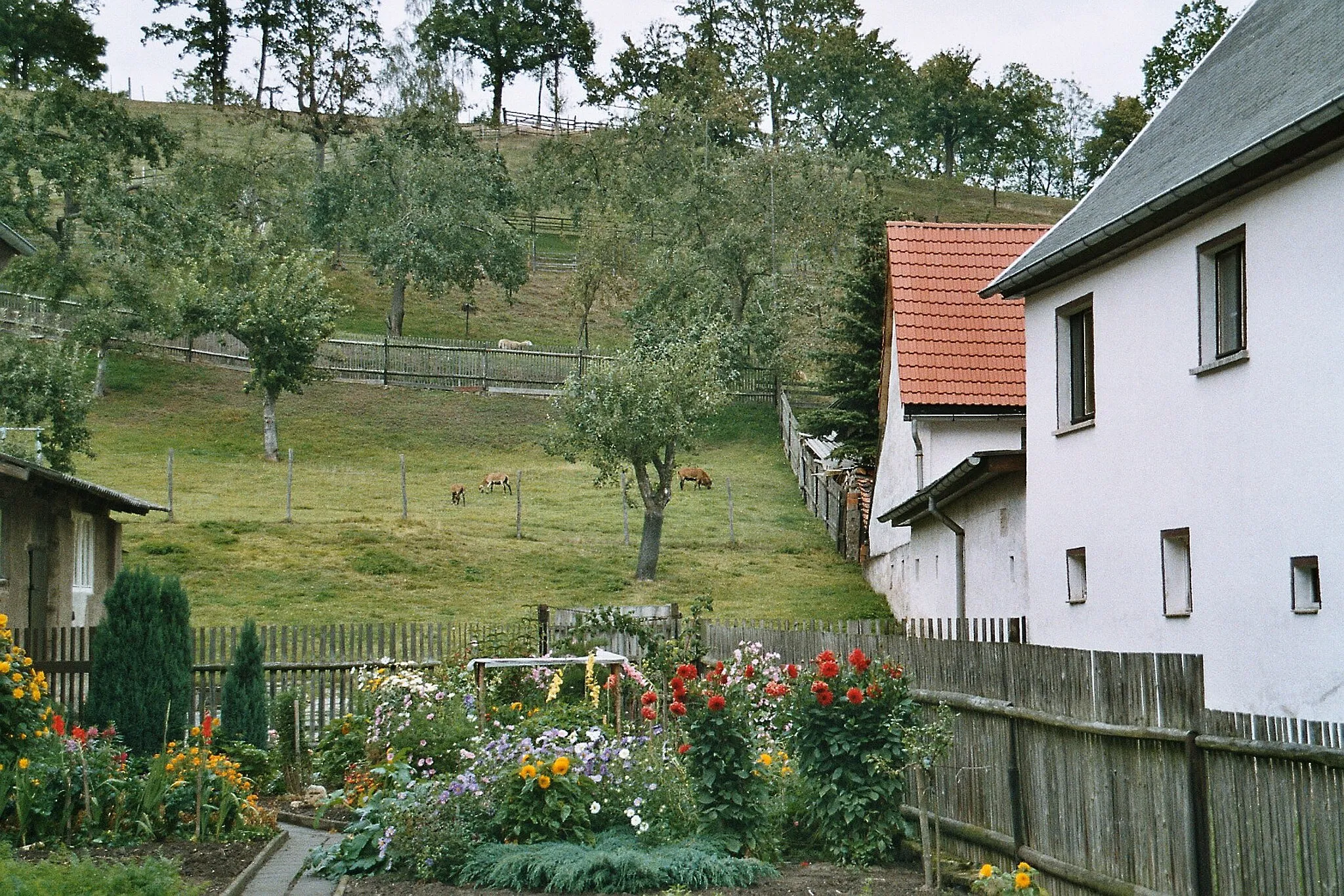 Photo showing: Kraftsdorf, flower garden