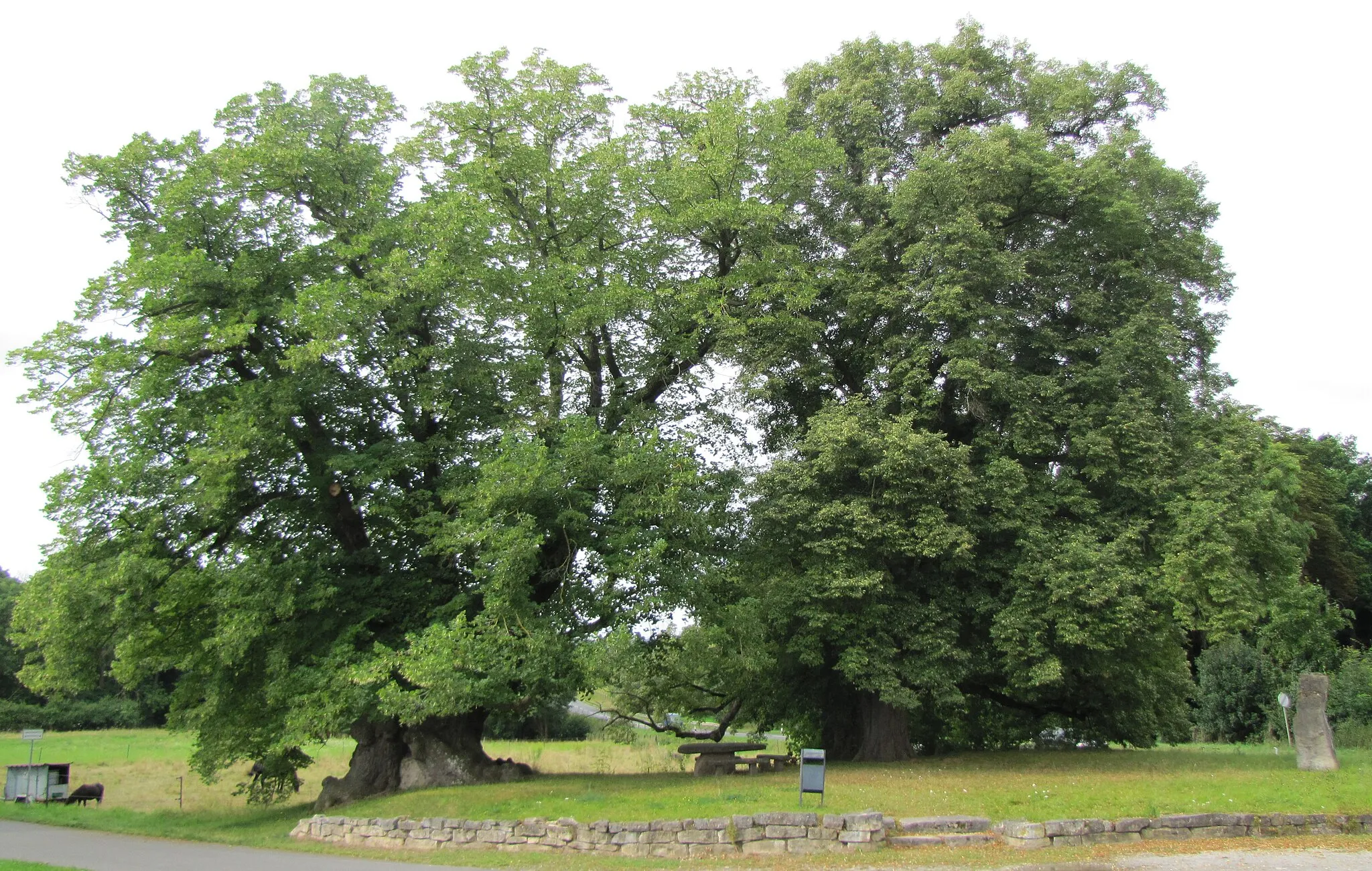 Image of Thüringen