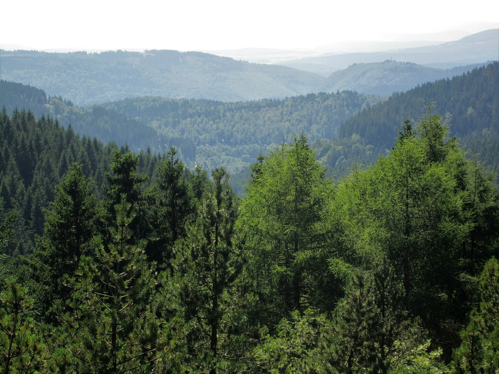 Image of Thüringen