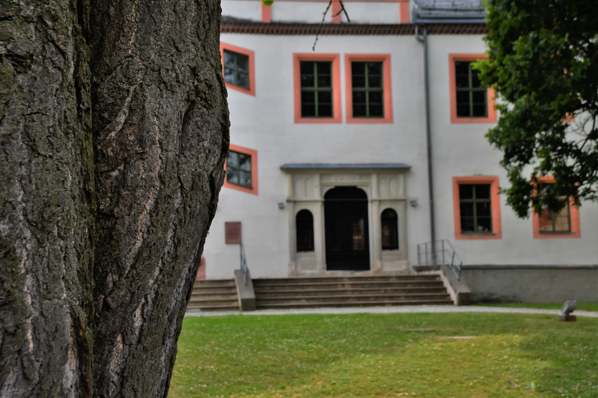 Photo showing: 500px provided description: Ein neugieriger Blick hinter dem Baum vor... [#park ,#tree ,#path ,#fence ,#brick ,#steps ,#lawn ,#footpath ,#hedge ,#stone wall ,#porch ,#garden path]