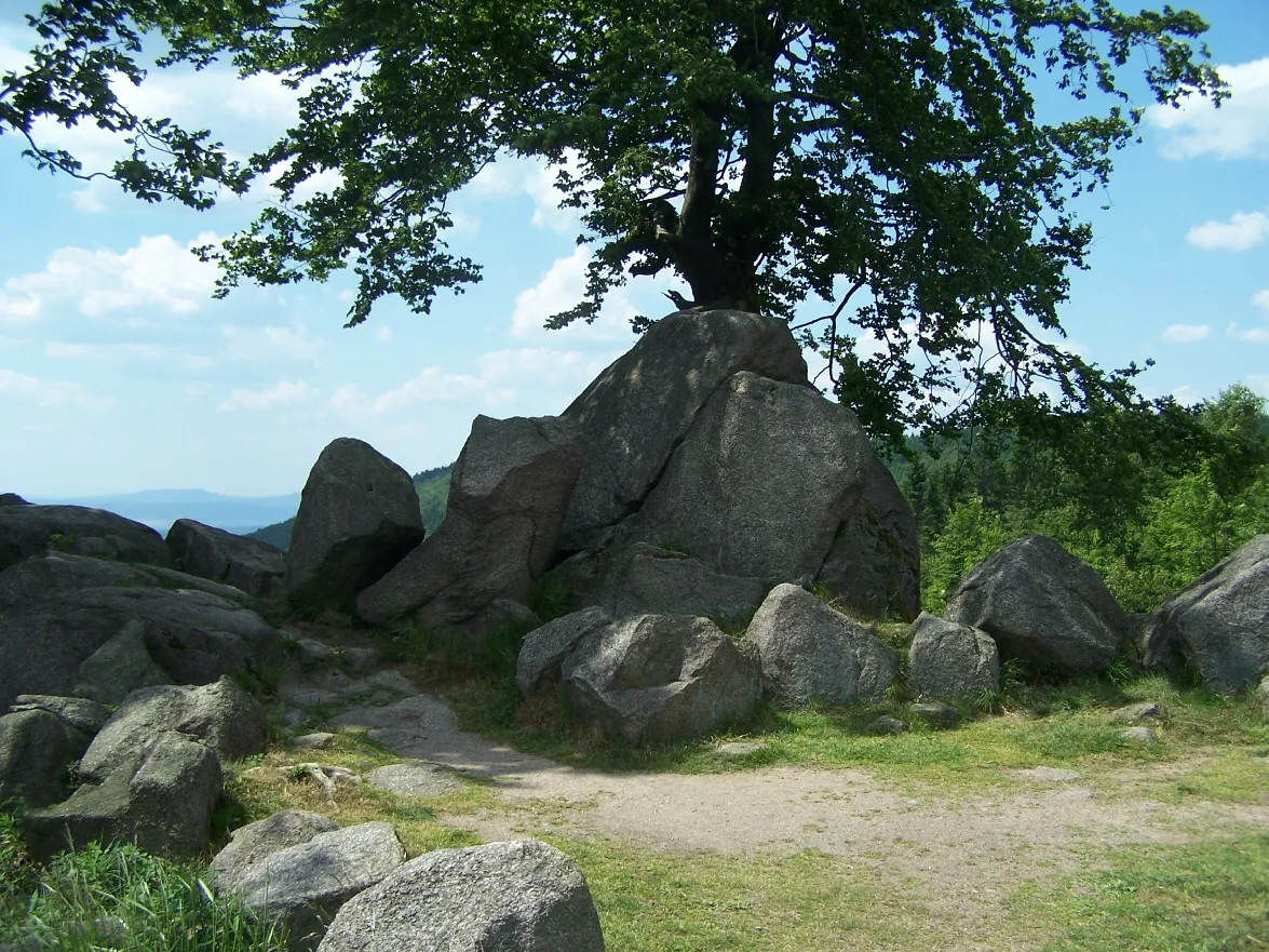 Photo showing: The Gloeckner rocks at the Rennsteig trail. The material is a granite variation, called Ruhlaer Granit (palaeozoic era).