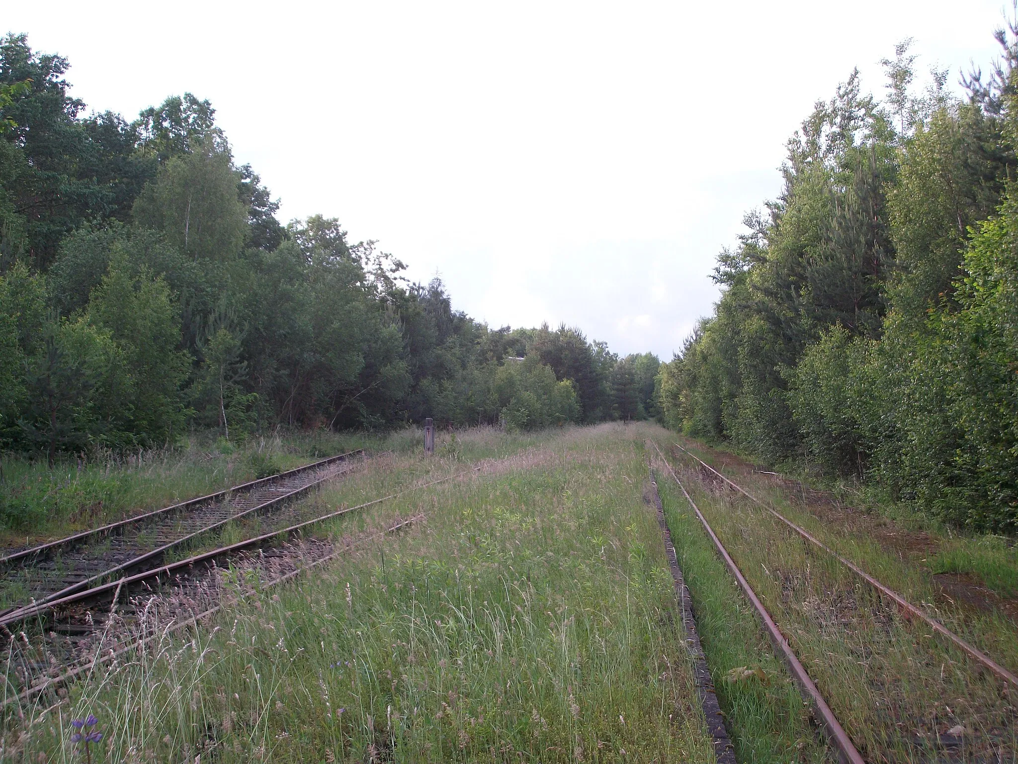 Photo showing: Bahnhof Teichwolframsdorf, Gleisanlagen (2016)