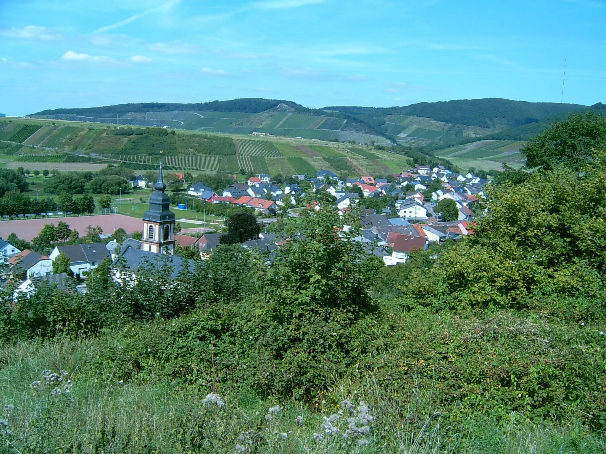 Photo showing: Irsch im Sommer