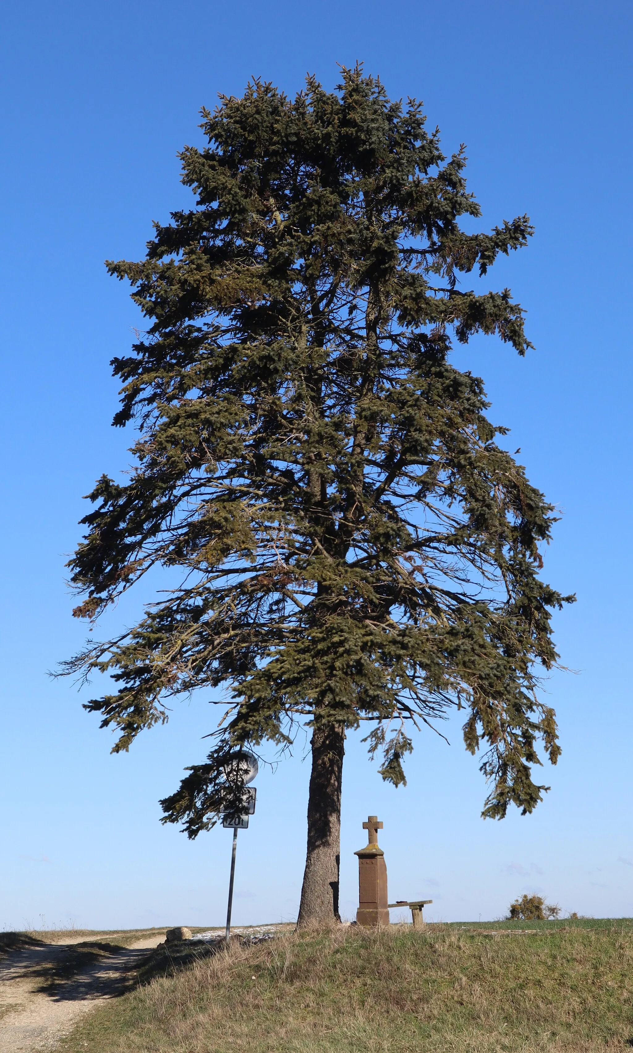 Photo showing: Wayside cross (1858) north of Newel, Germany under an old pine tree (pinus) at the  L 42.