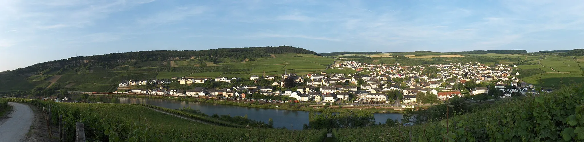 Photo showing: Weinort Nittel an der Mosel