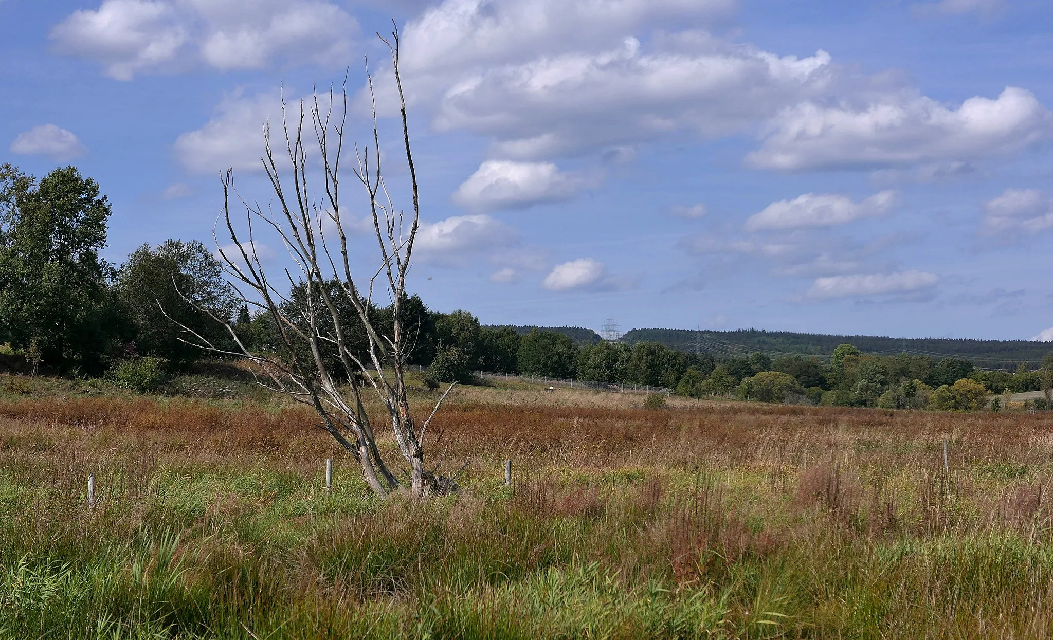Photo showing: Naturschutzgebiet Osterbachtal bei Reinsfeld - Mitte des Gebiets