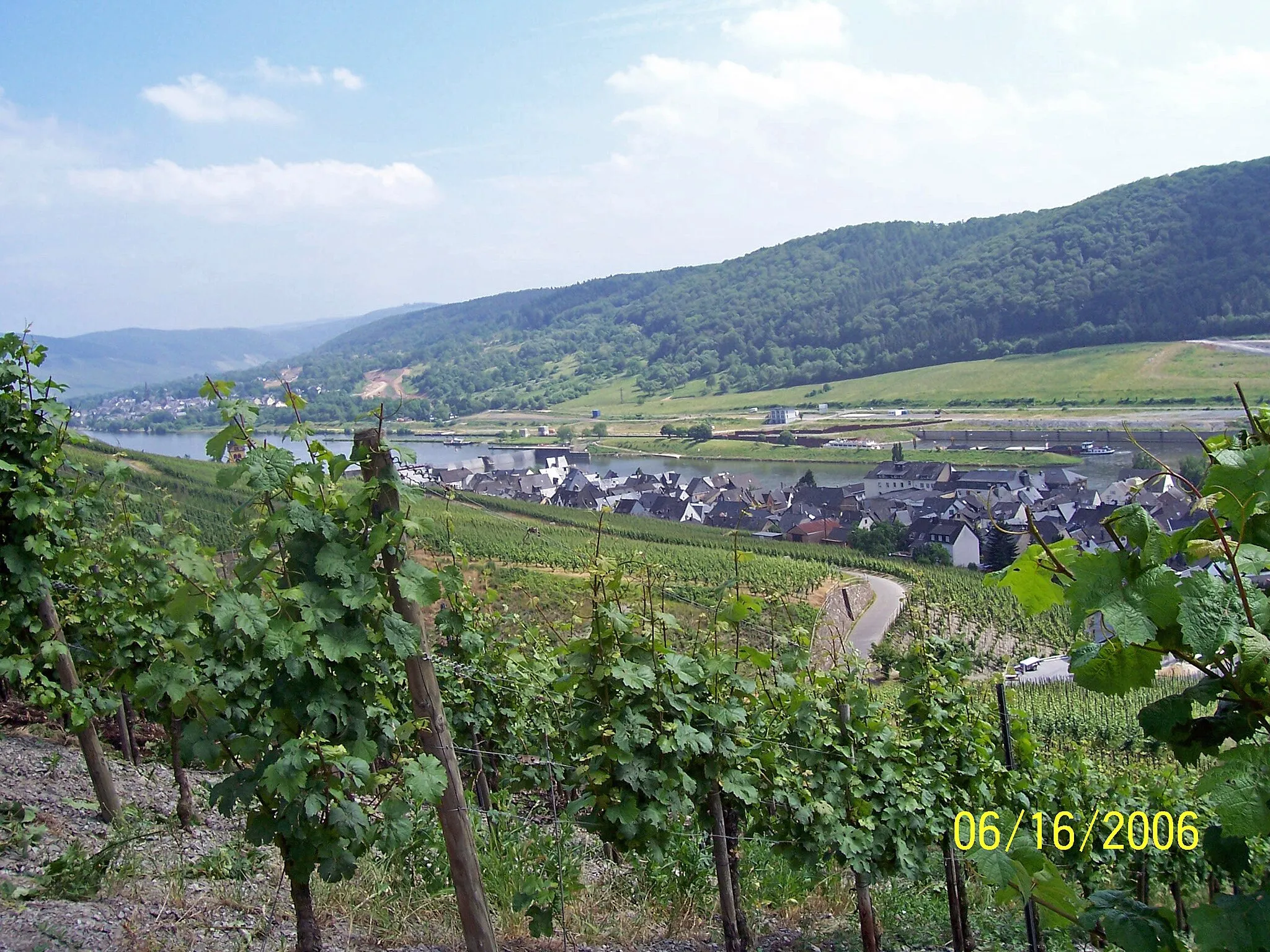 Image of Zeltingen-Rachtig