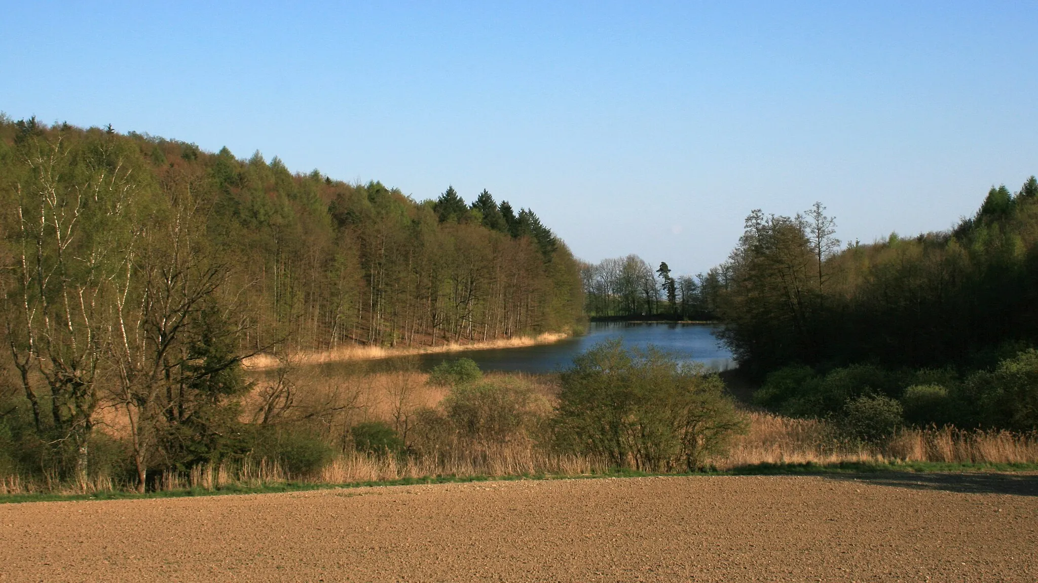 Image of Tübingen