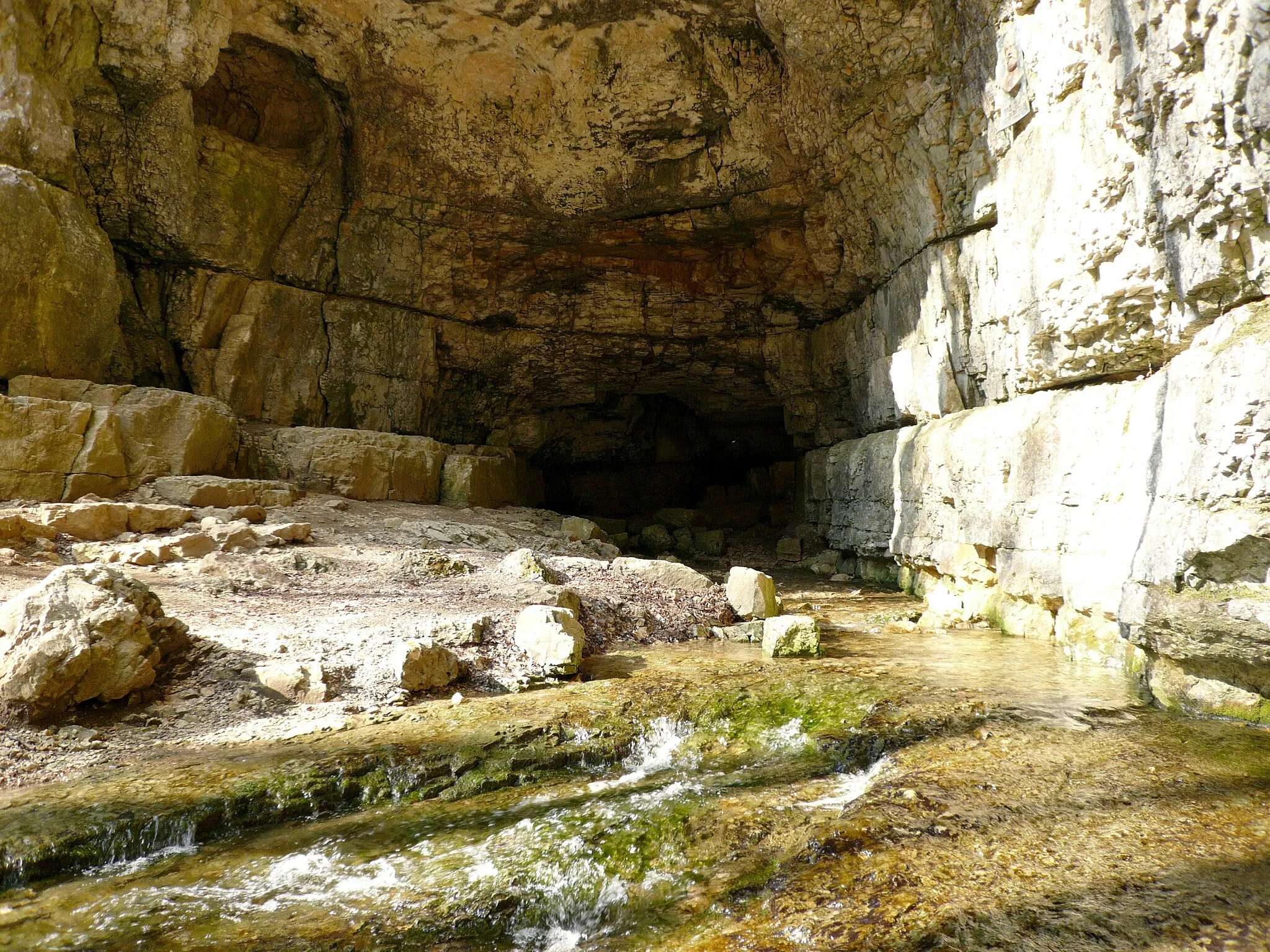 Photo showing: Entrance of cave Falkensteiner Hoehle