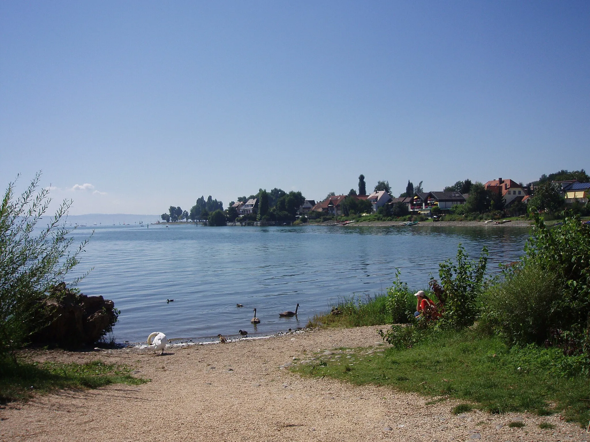 Bild von Immenstaad am Bodensee