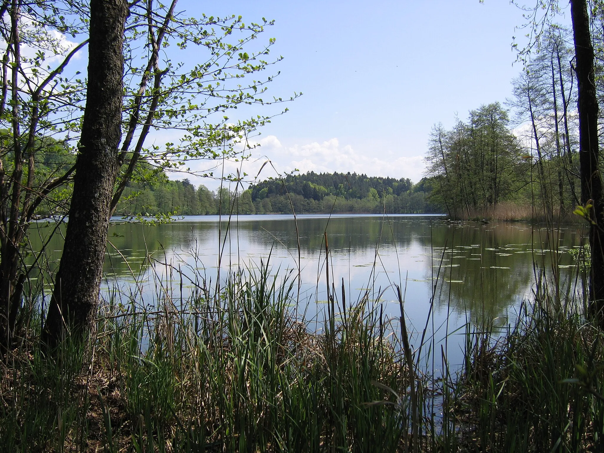 Photo showing: Deutschland - Baden-Württemberg - Bodenseekreis - Kressbronn am Bodensee - Schleinsee: der Schleinsee