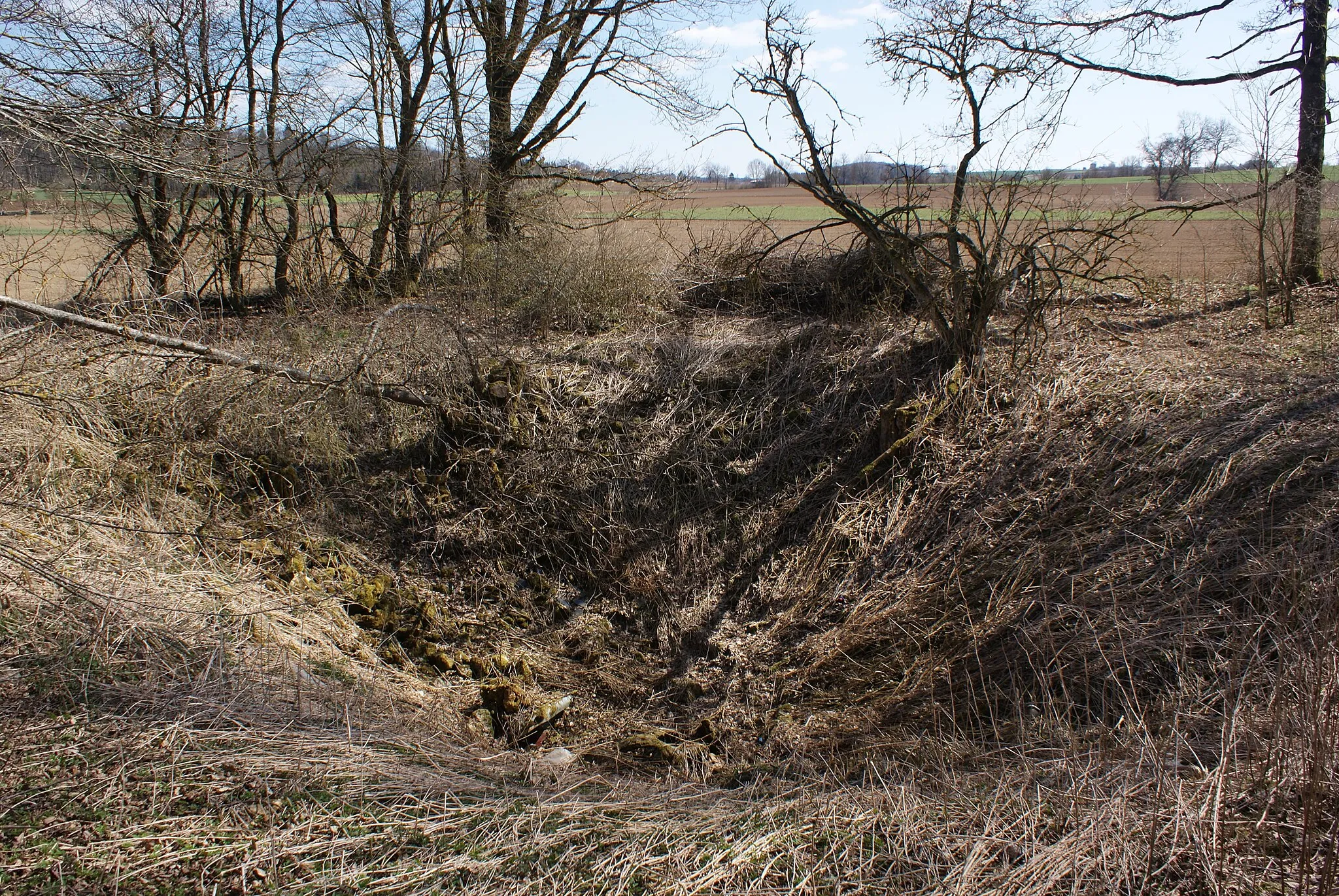 Photo showing: Dolinenfeld auf den Maierwiesen (Meierwiesen) zwischen Laichingen und Heroldstatt.
Naturdenkmal.