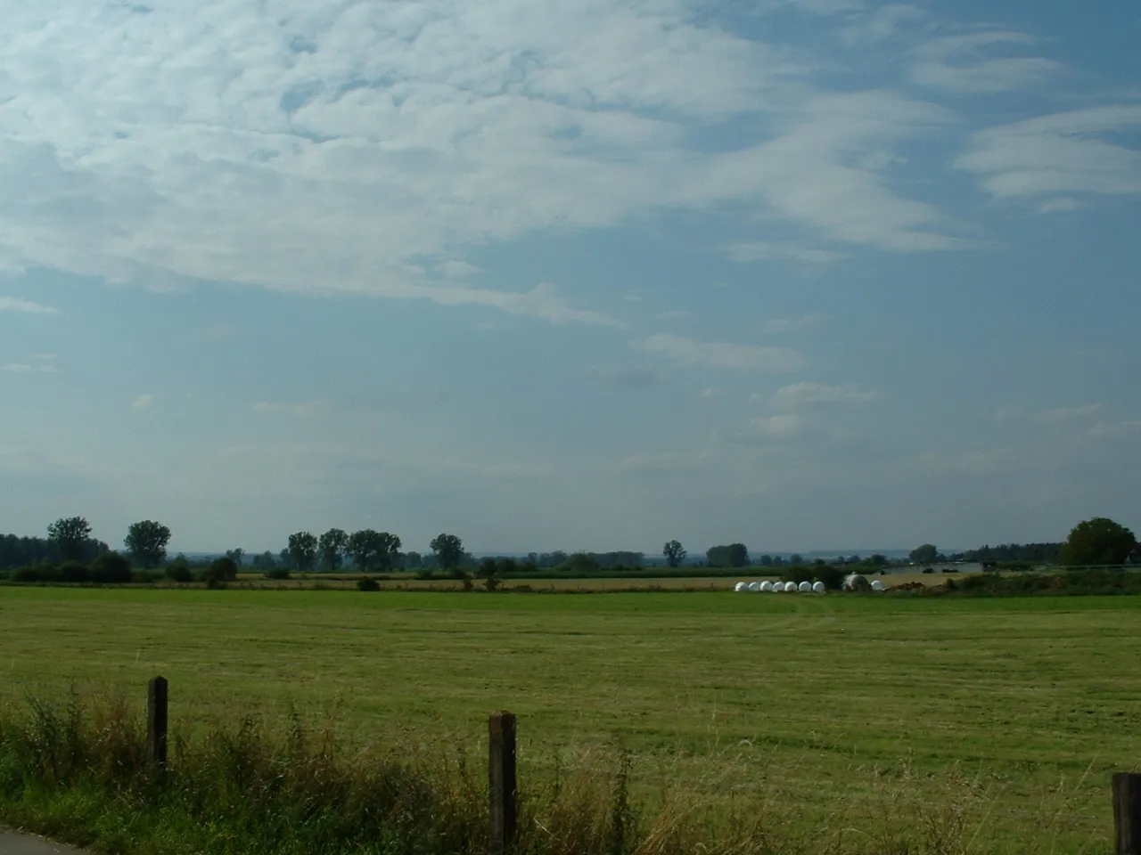 Photo showing: Former Baltringen Bog / Baltringer Ried