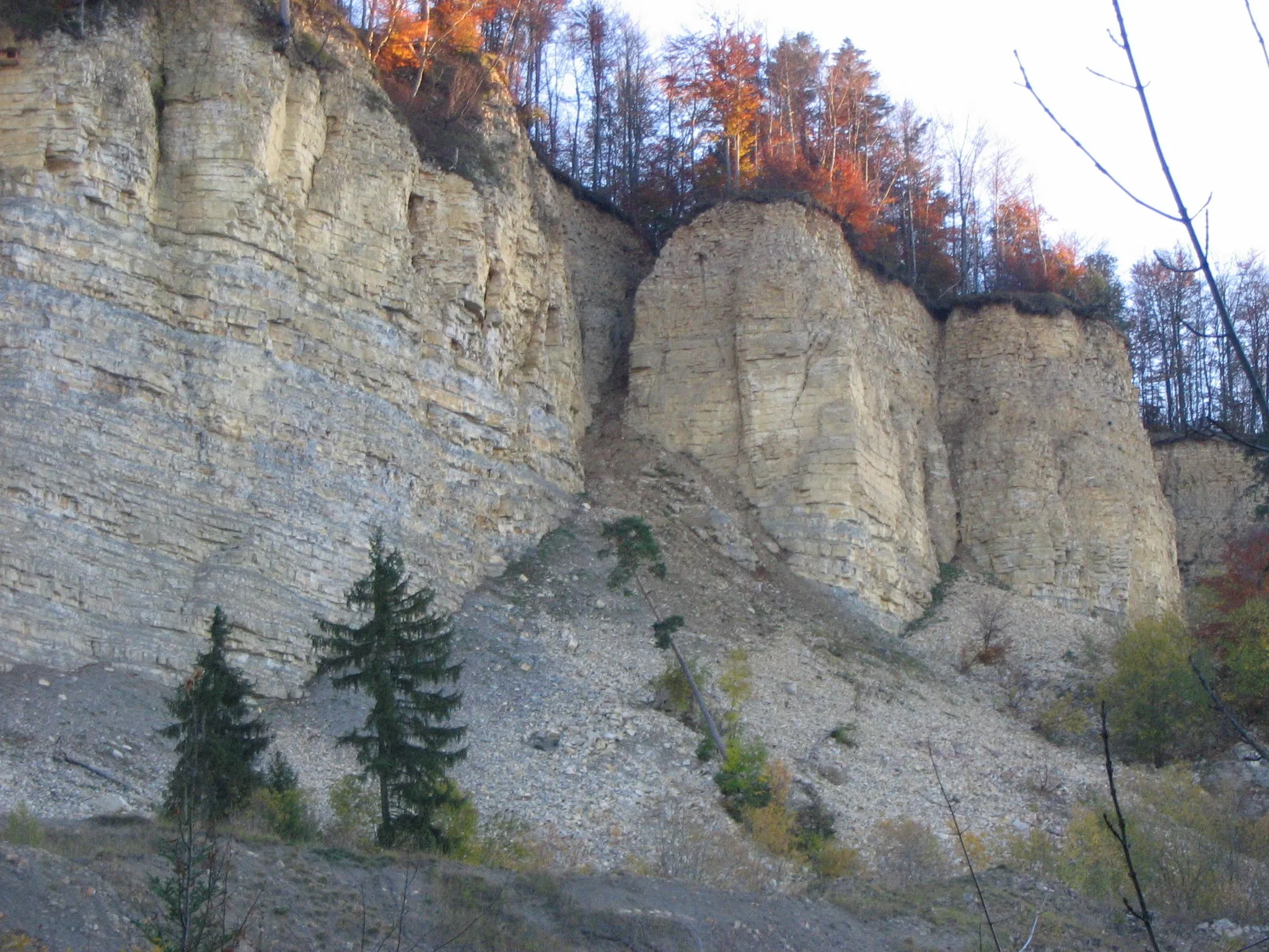 Photo showing: Section of the main scarp of the Mössingen landslip of 1983 at the Hirschkopf hill near Mössingen, Swabian Alb, southern Germany, exposing Upper Jurassic limestones. The Mössingen landslip is a national geotope of Germany.