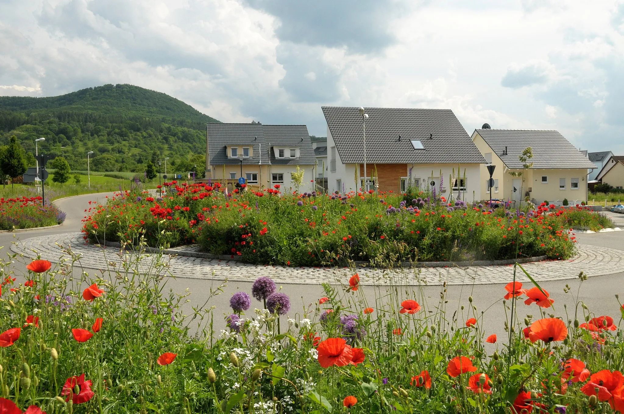 Photo showing: Roundabout in the city of flowers Mössingen.